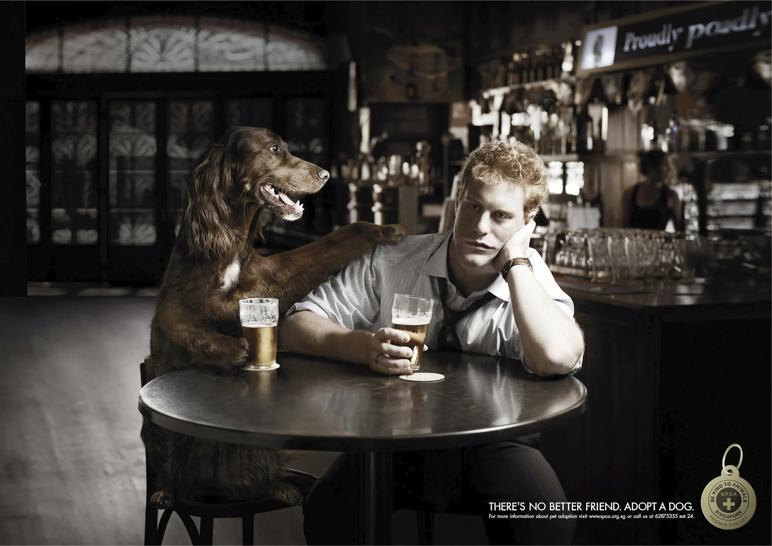 72-SPCA-Bar.jpg