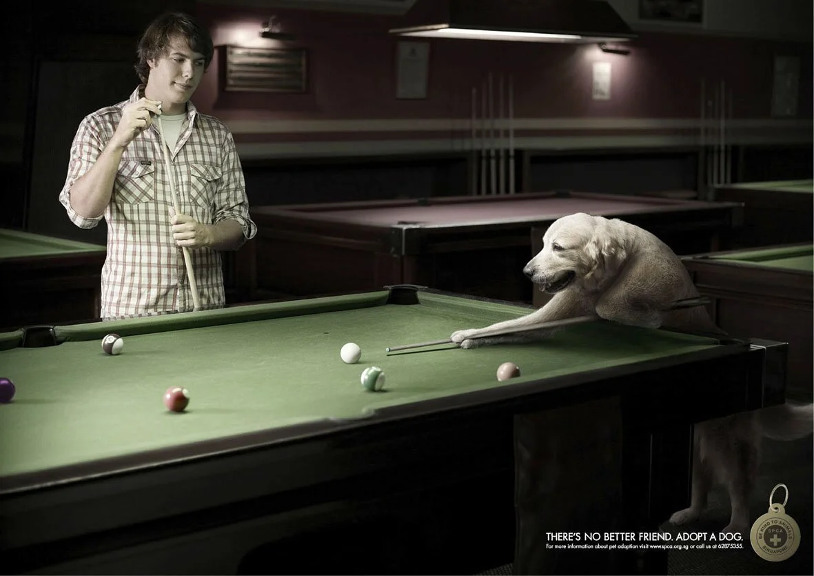 THERE'S NO BETTER FRIEND - POOL