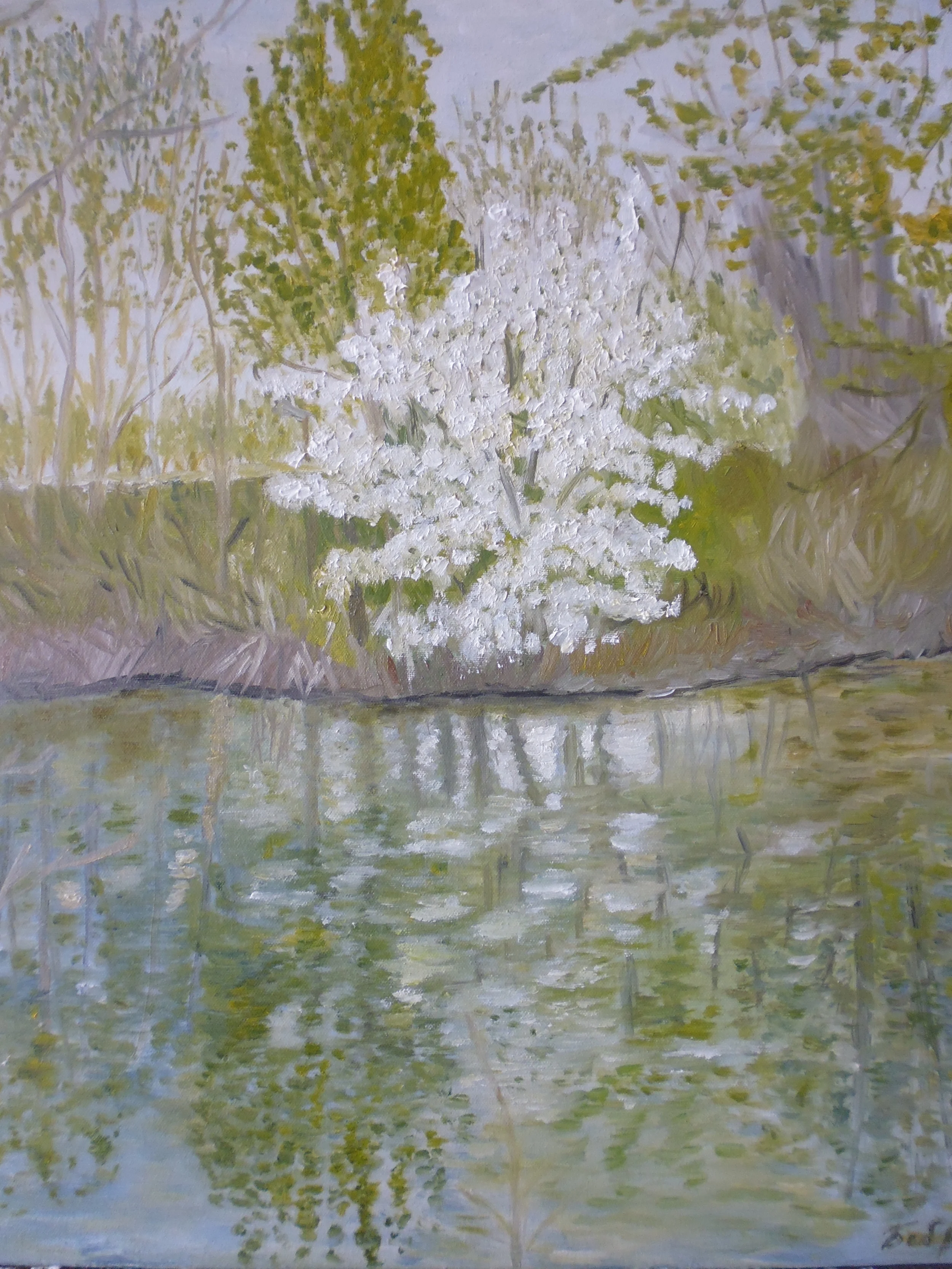 Spring II. Fenway Park