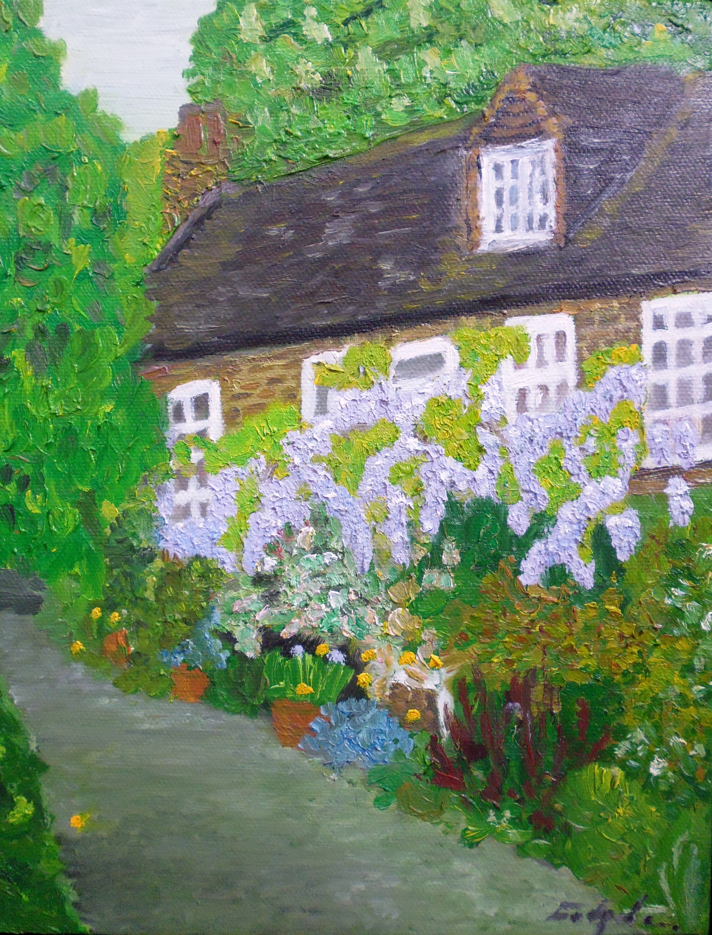 Page's Lane Wisteria