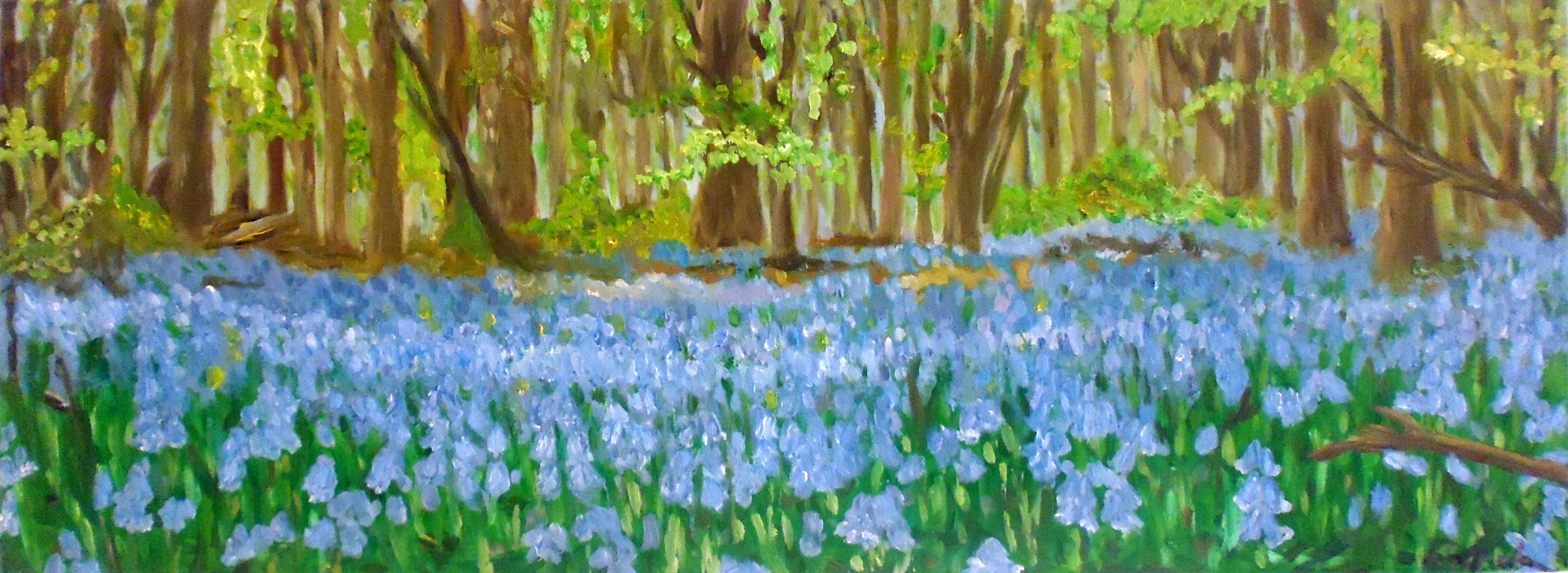 Blue Bells Forest