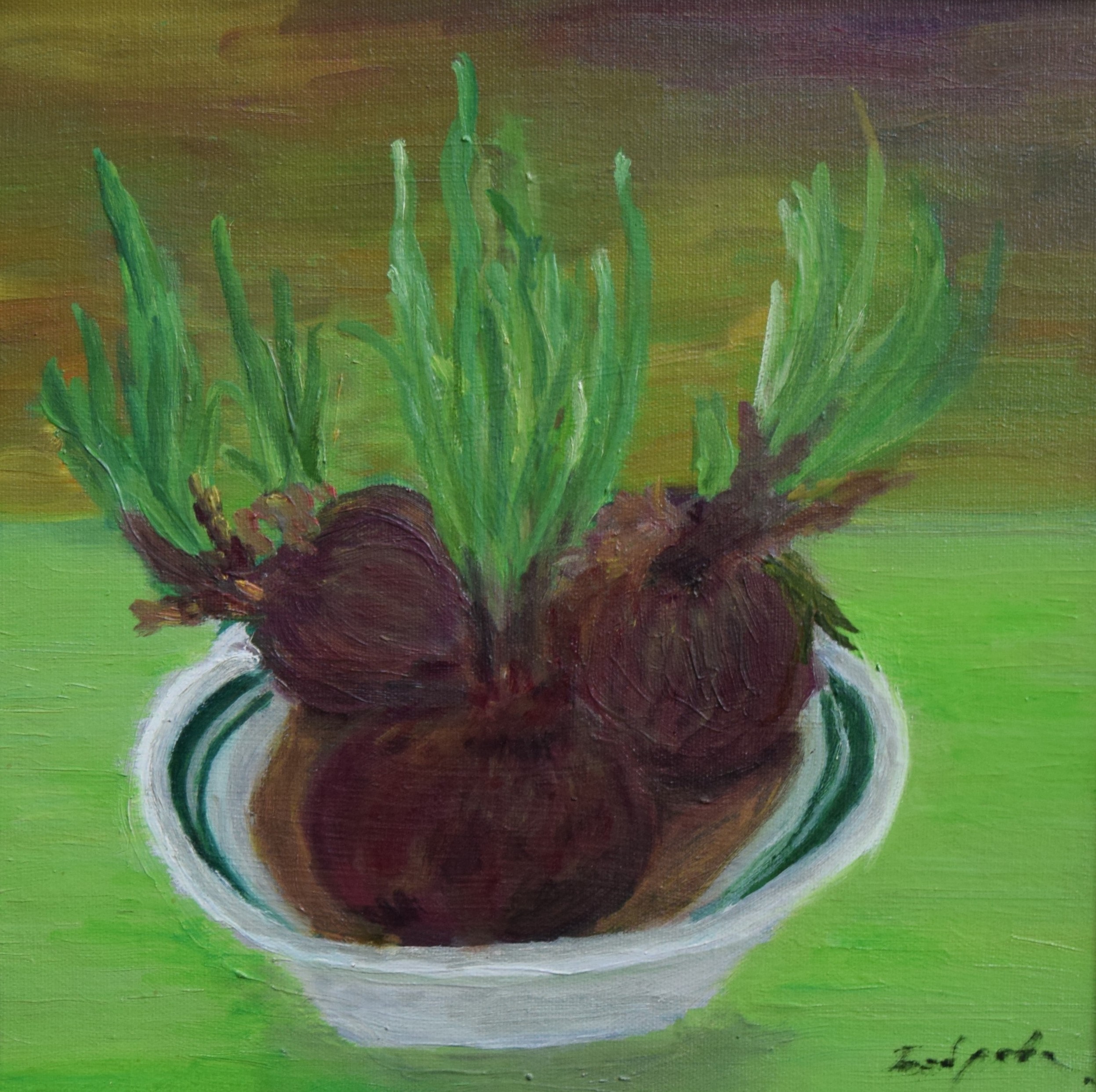 Sprouting red onions