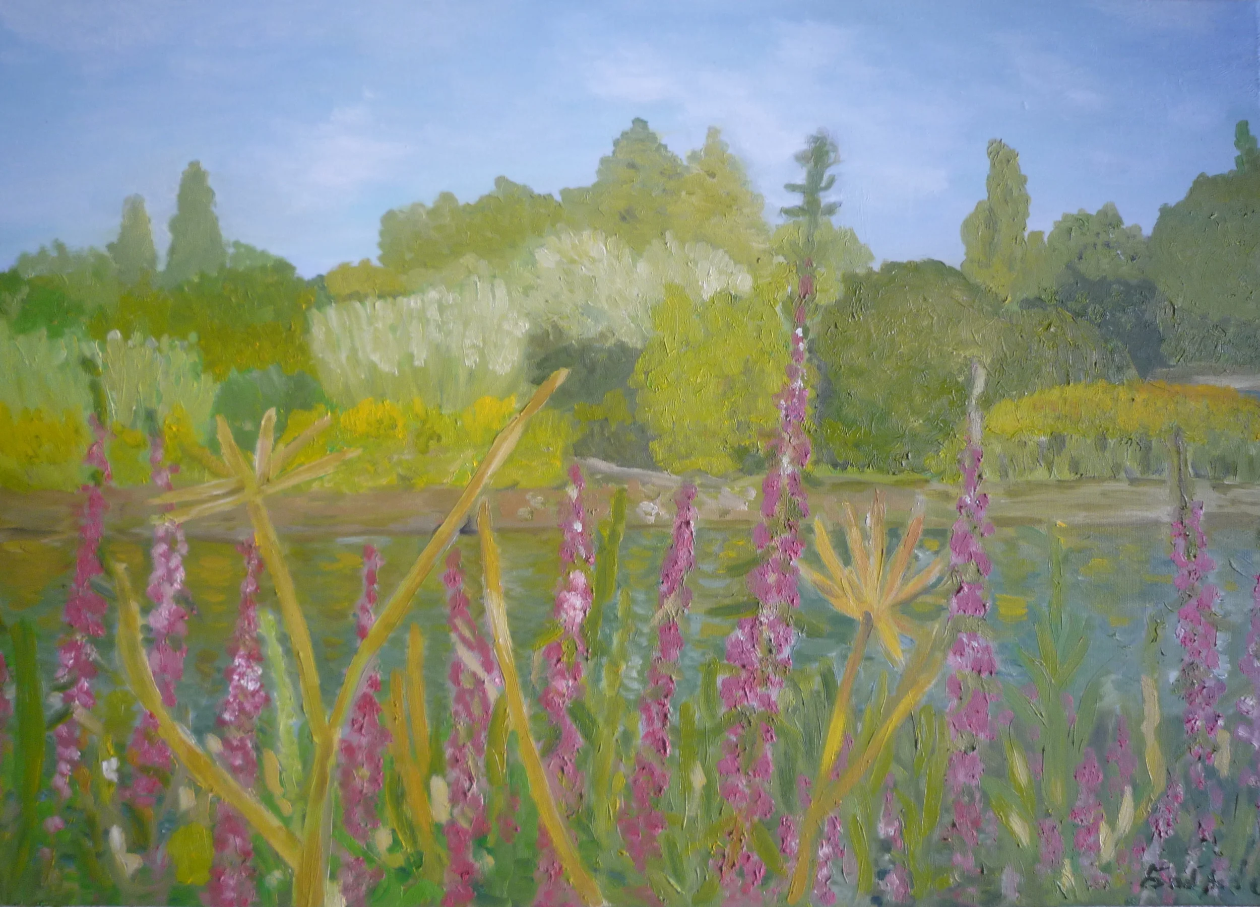 Chiswick Eyot July II