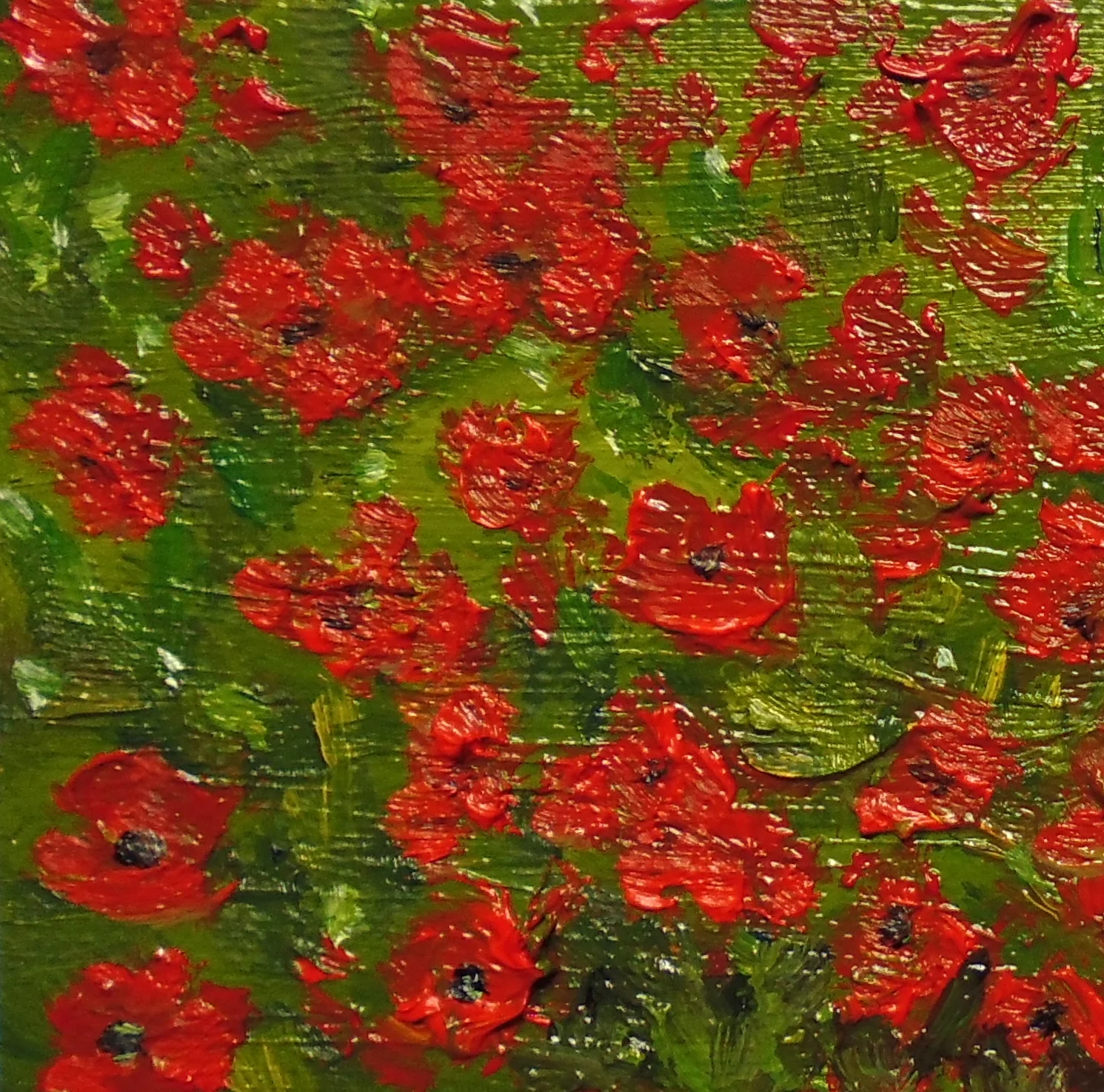 Poppies