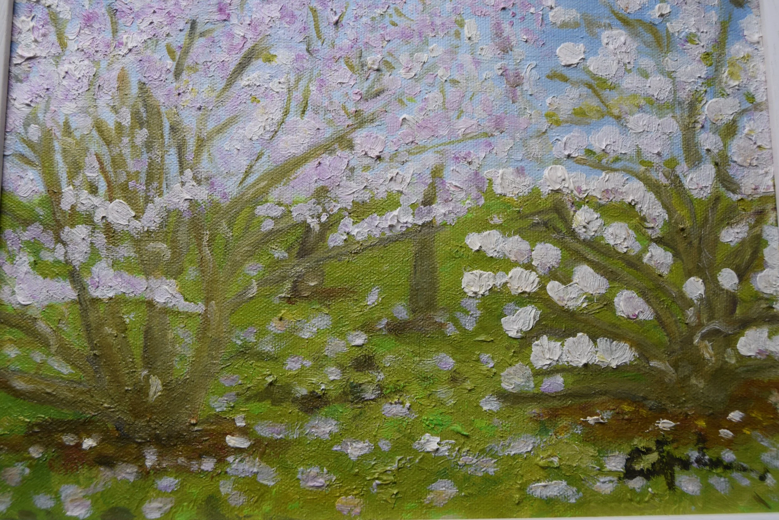 Magnolias