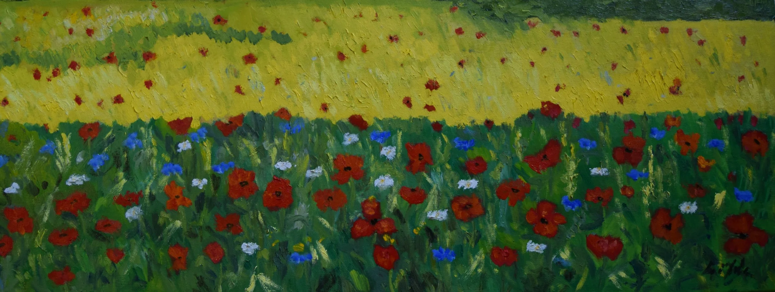 Poppies
