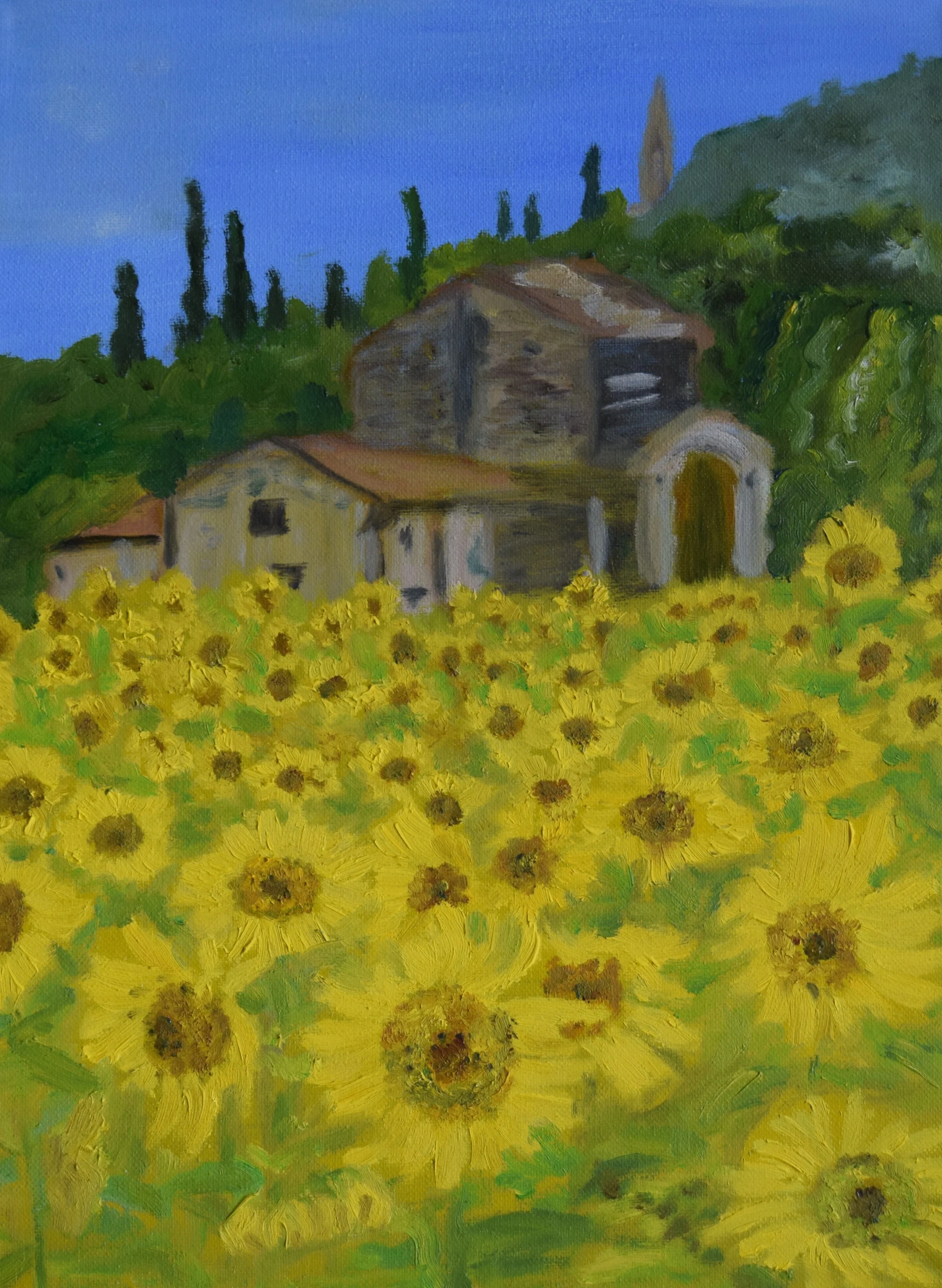 Sunflowers. Italy.