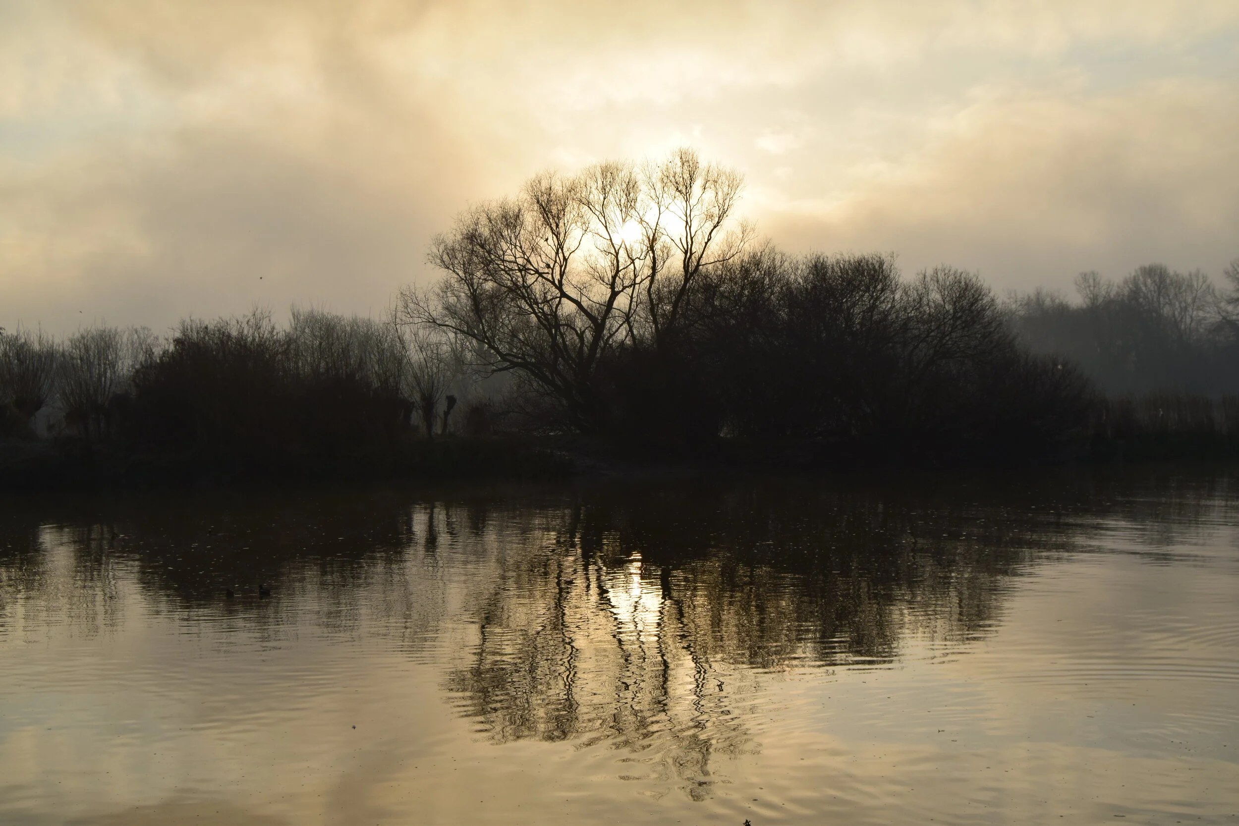 Chiswick Eyot. £40 unframed, £80 framed