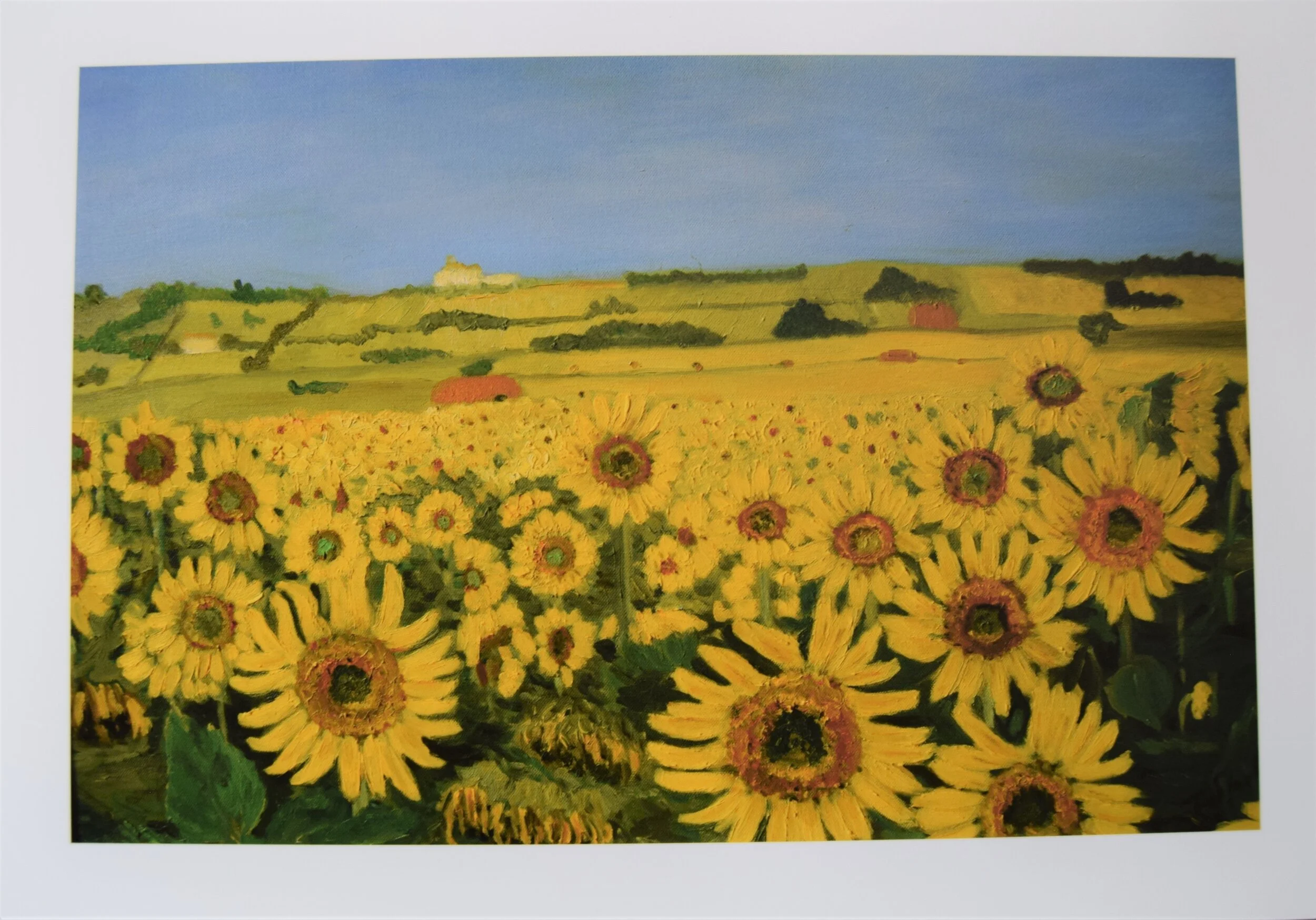 Sunflowers. Limited edition print. £80
