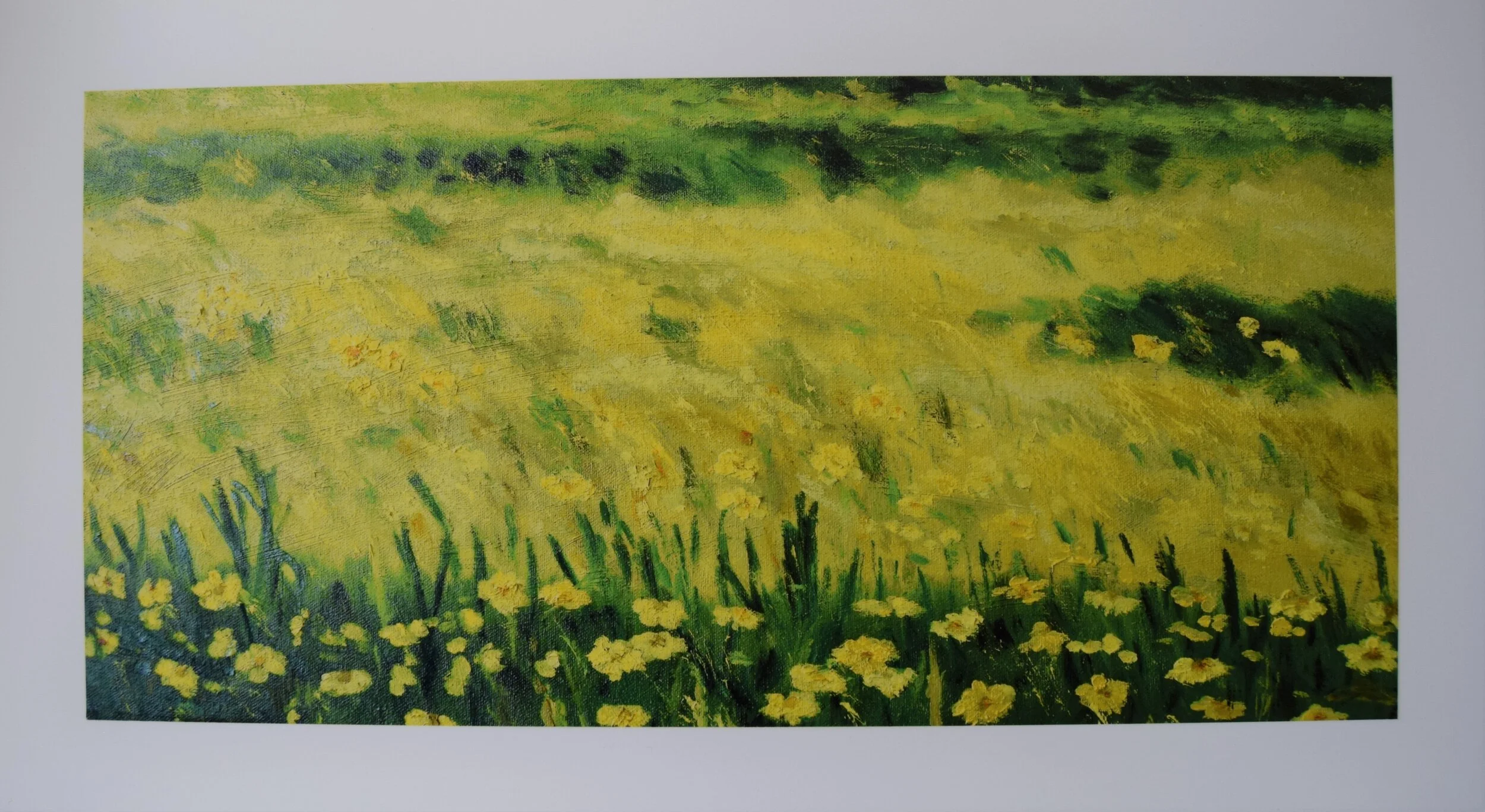 Meadow. Limited edition print. 