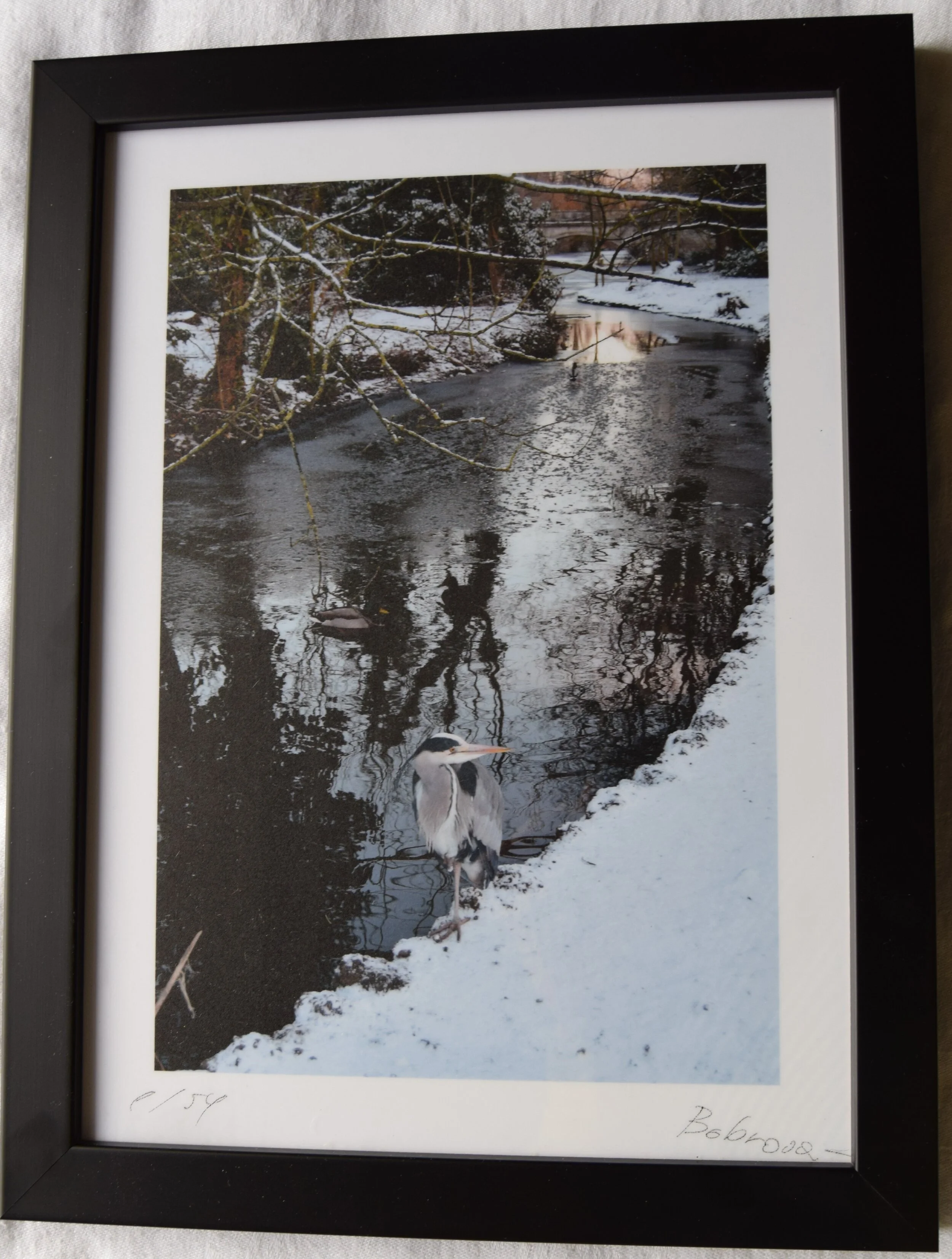Chiswick park in winter. £80