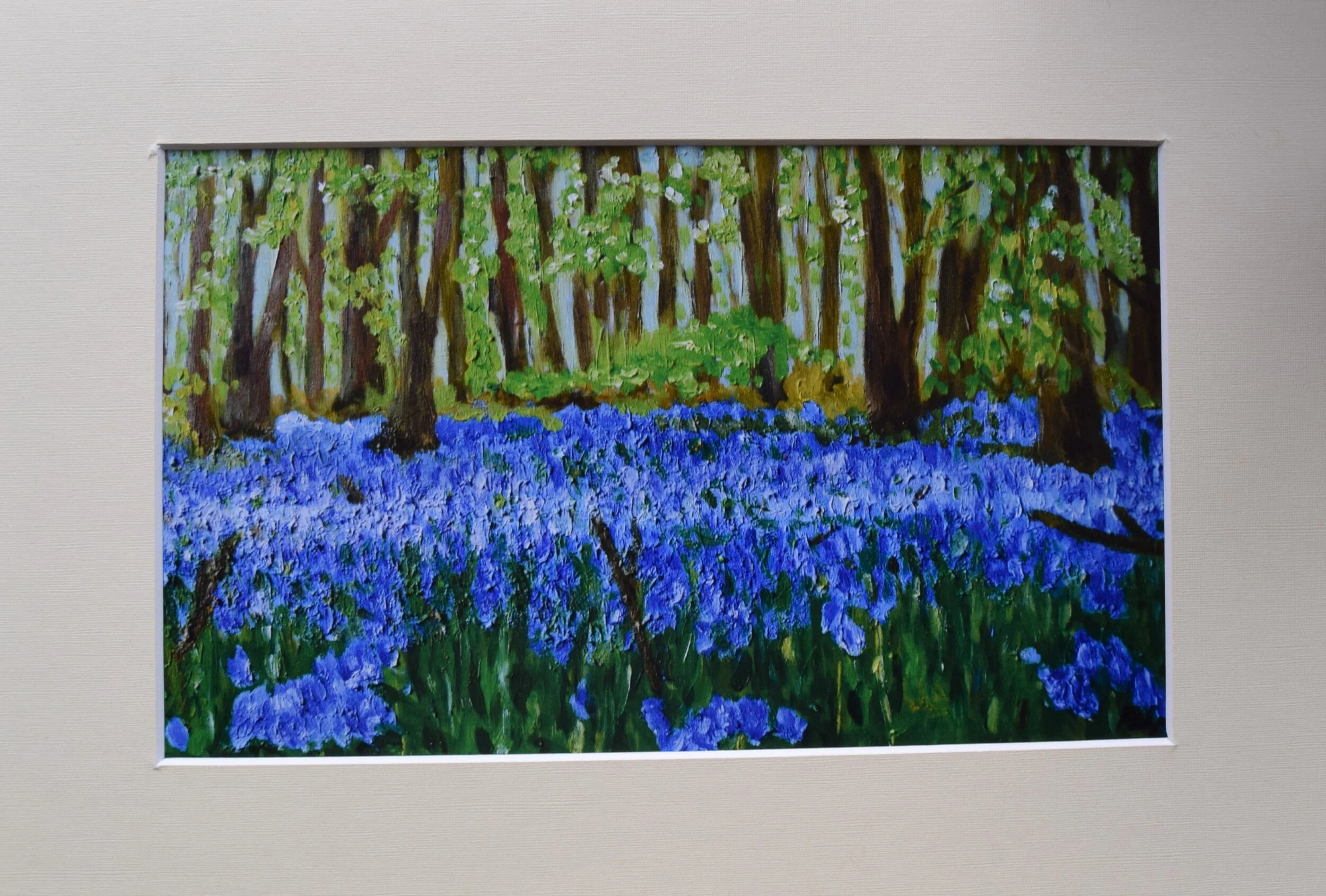 Bluebell forest. £50
