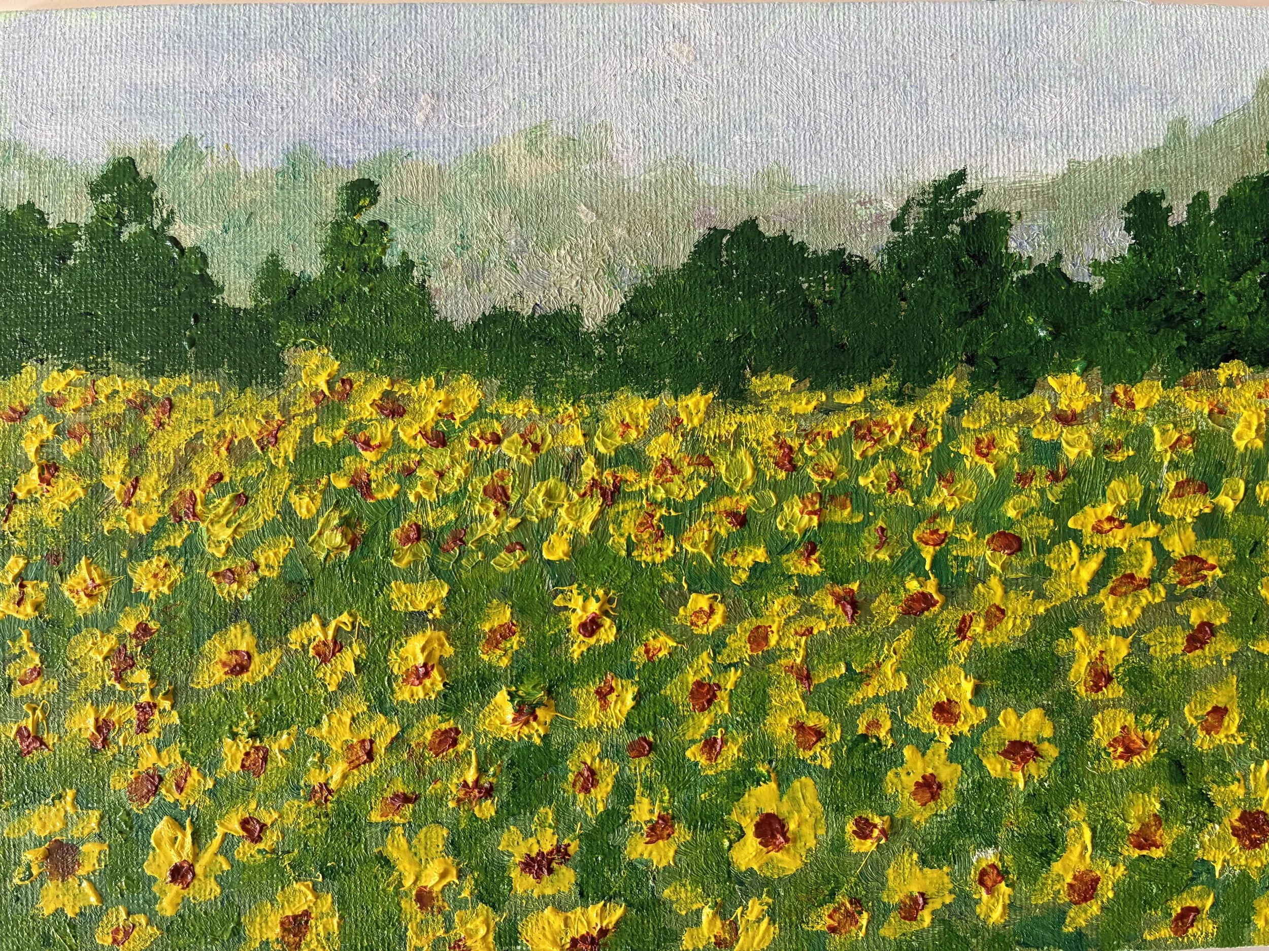 Sunflower field