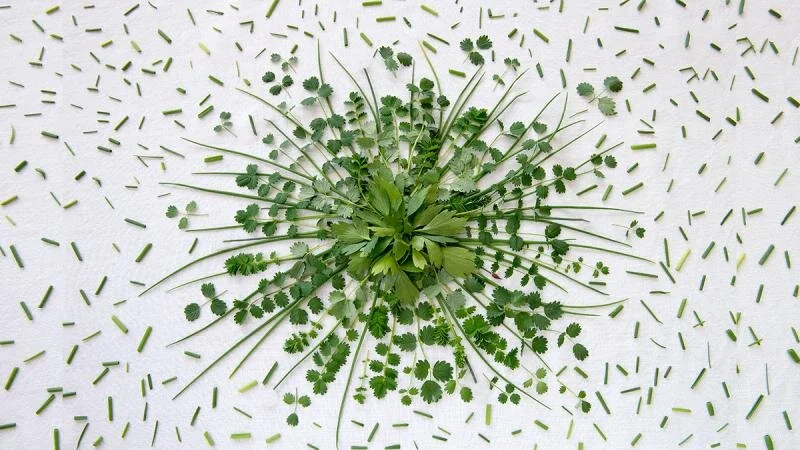 HBR - Ecosystem Businesses 