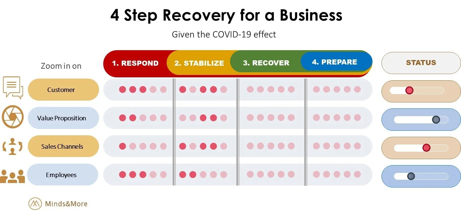 Minds&amp;More - A recovery plan