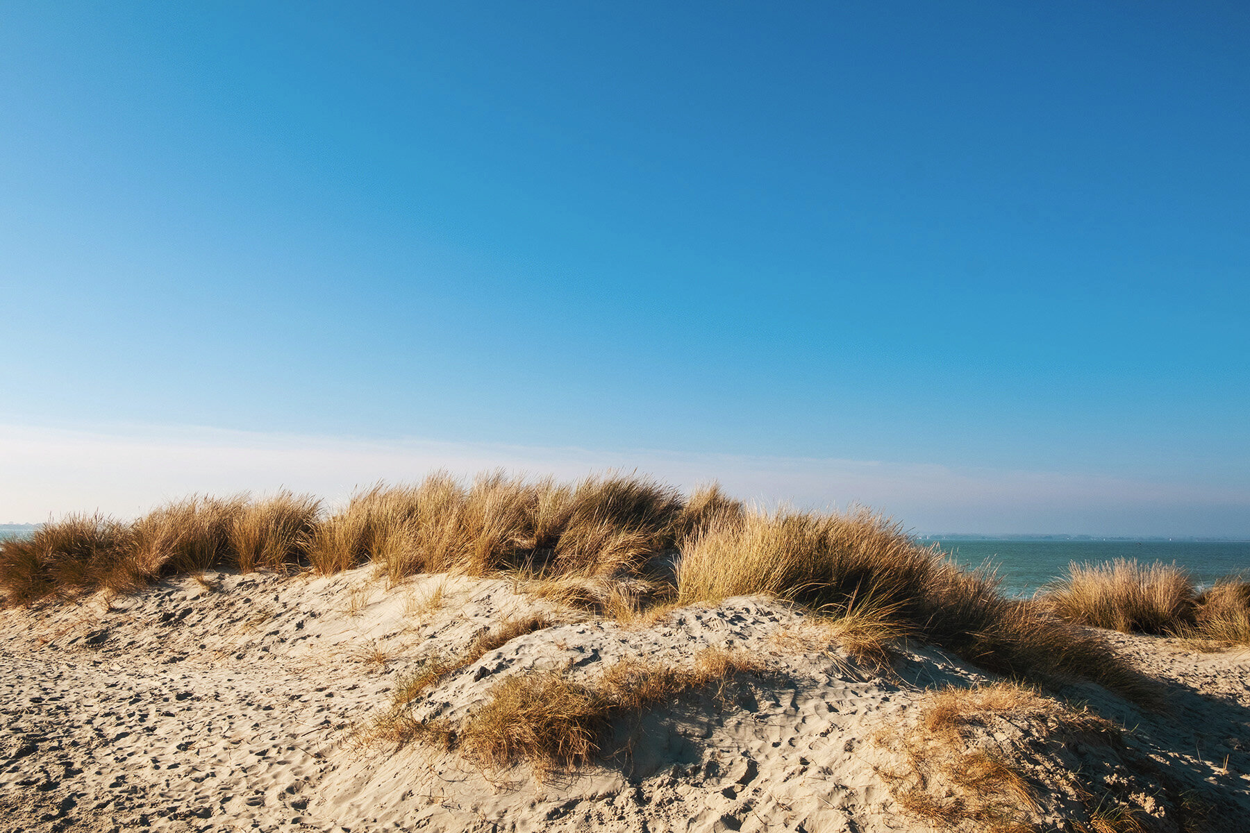 Sand Dunes, West Wittering, West Sussex