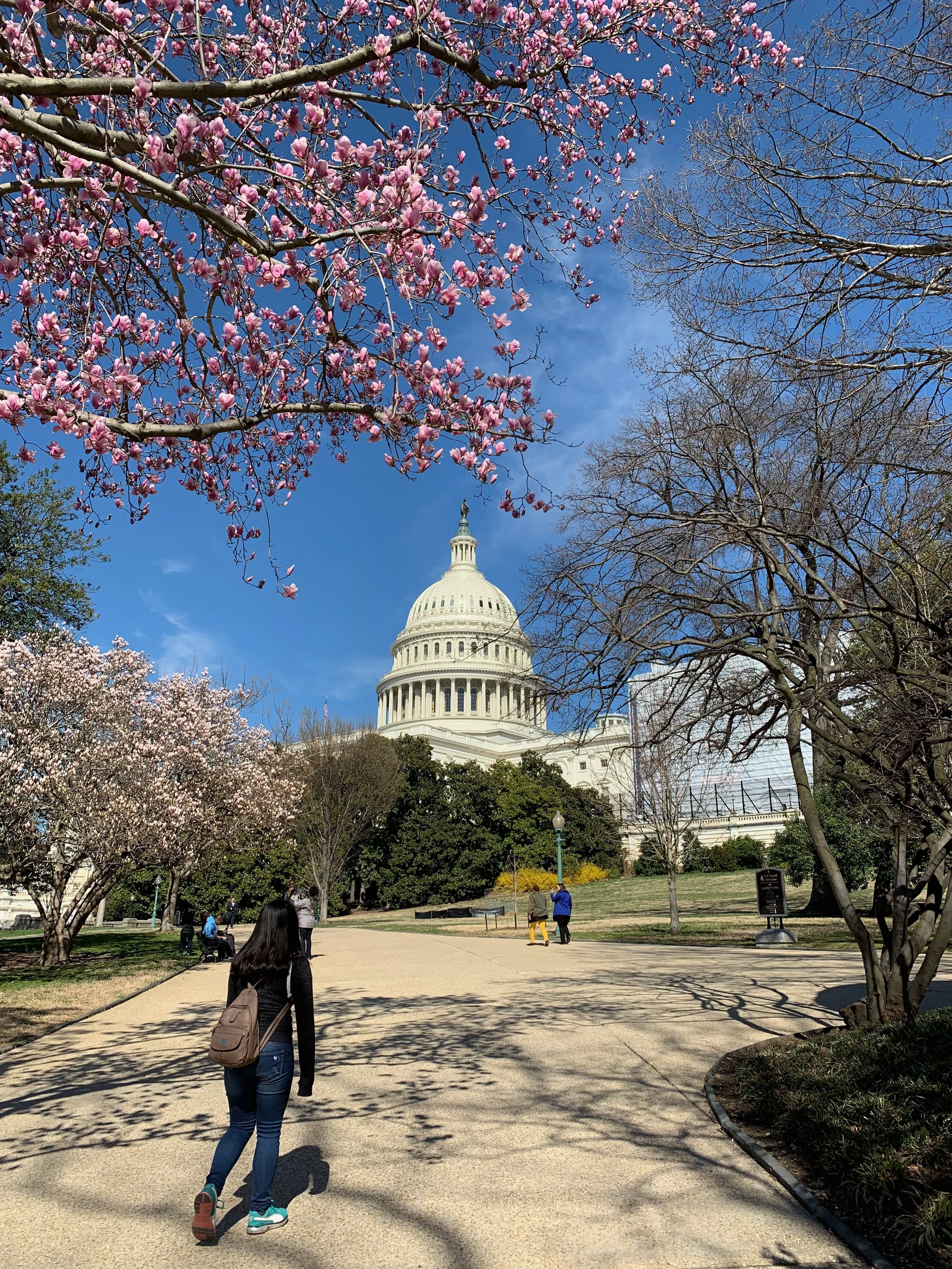 The U.S. Capitol - Like a Star on a Hill
