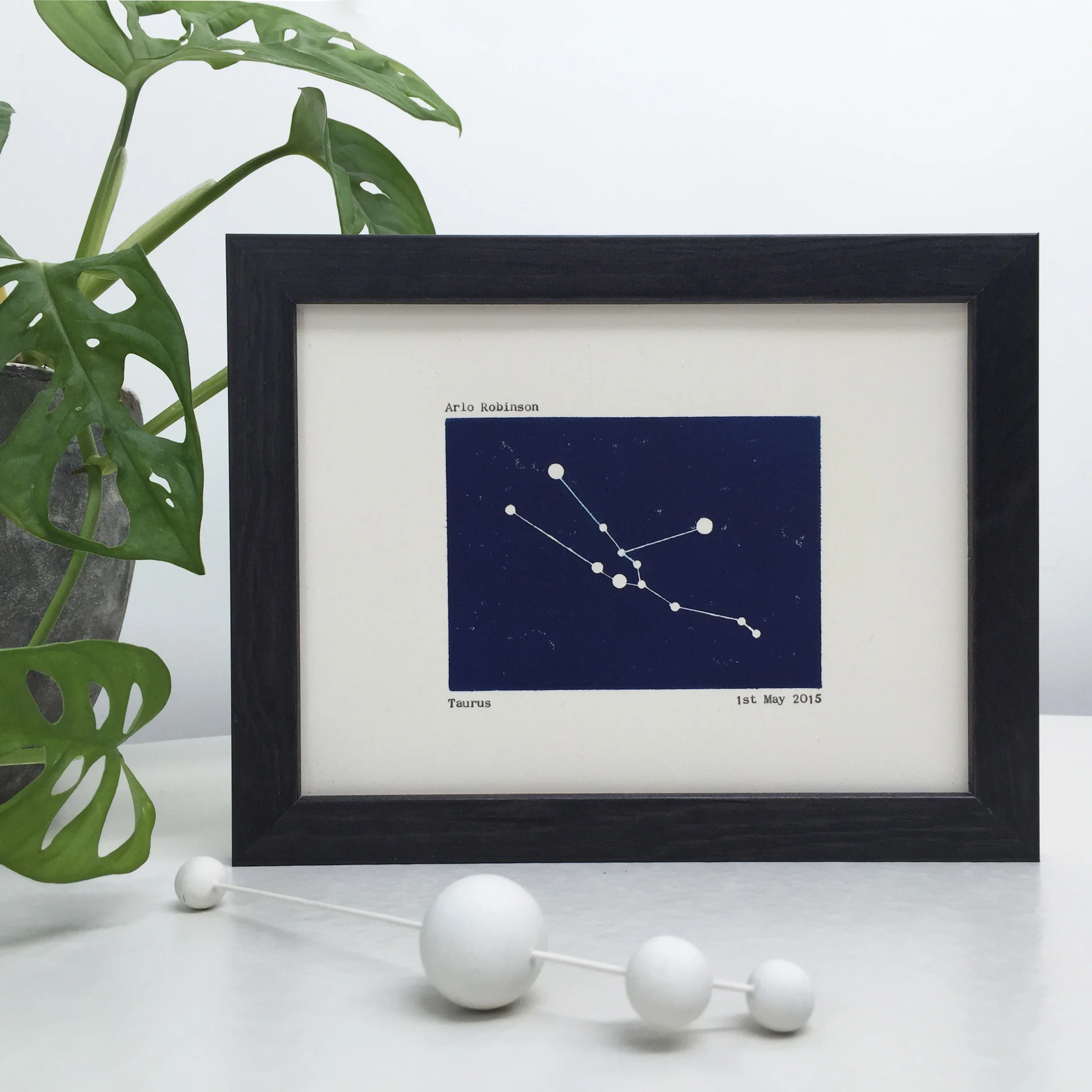 taurus frame text plant copy.jpg