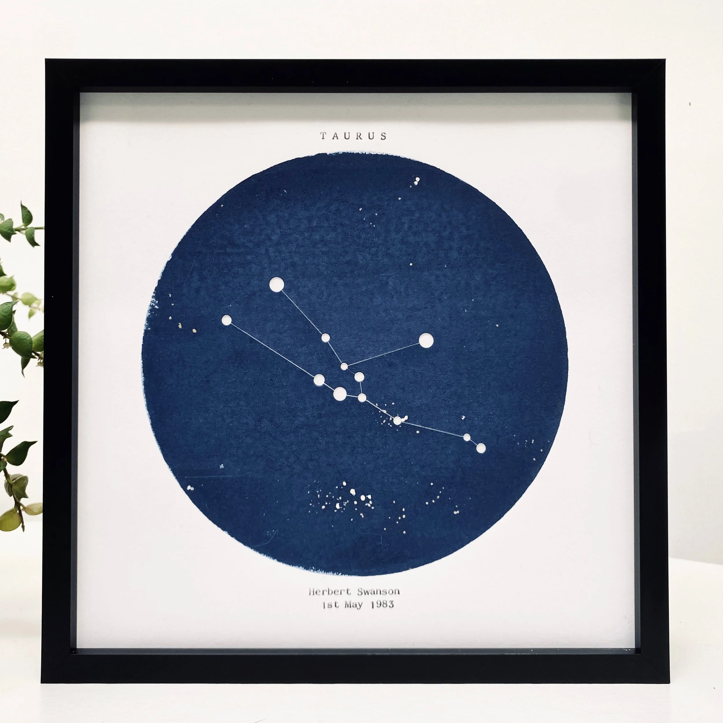 https://i.etsystatic.com/12085019/r/il/d85caa/3421428781/il_fullxfull.3421428781_7vh6.jpg