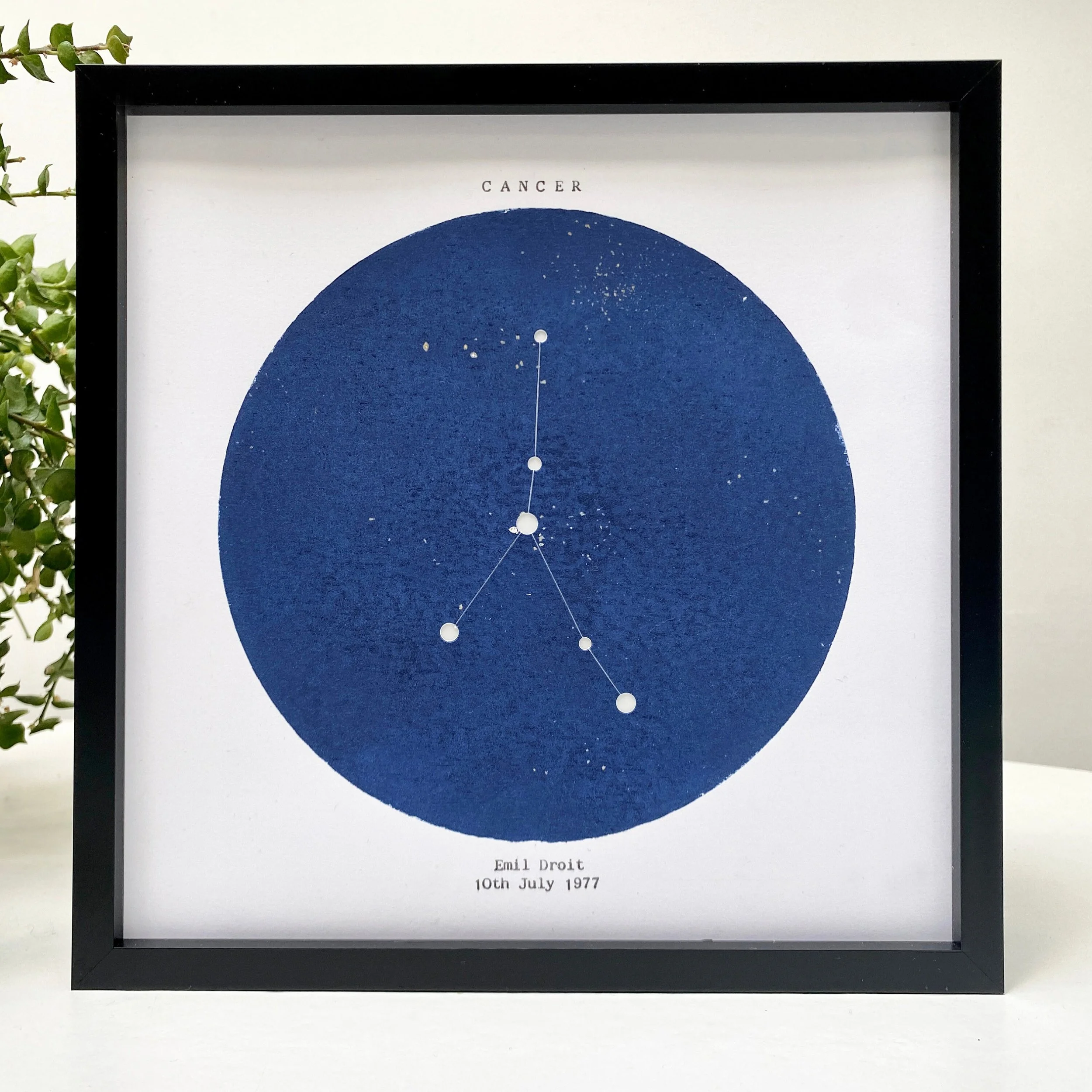 https://i.etsystatic.com/12085019/r/il/5980f5/3373187250/il_fullxfull.3373187250_jhr6.jpg