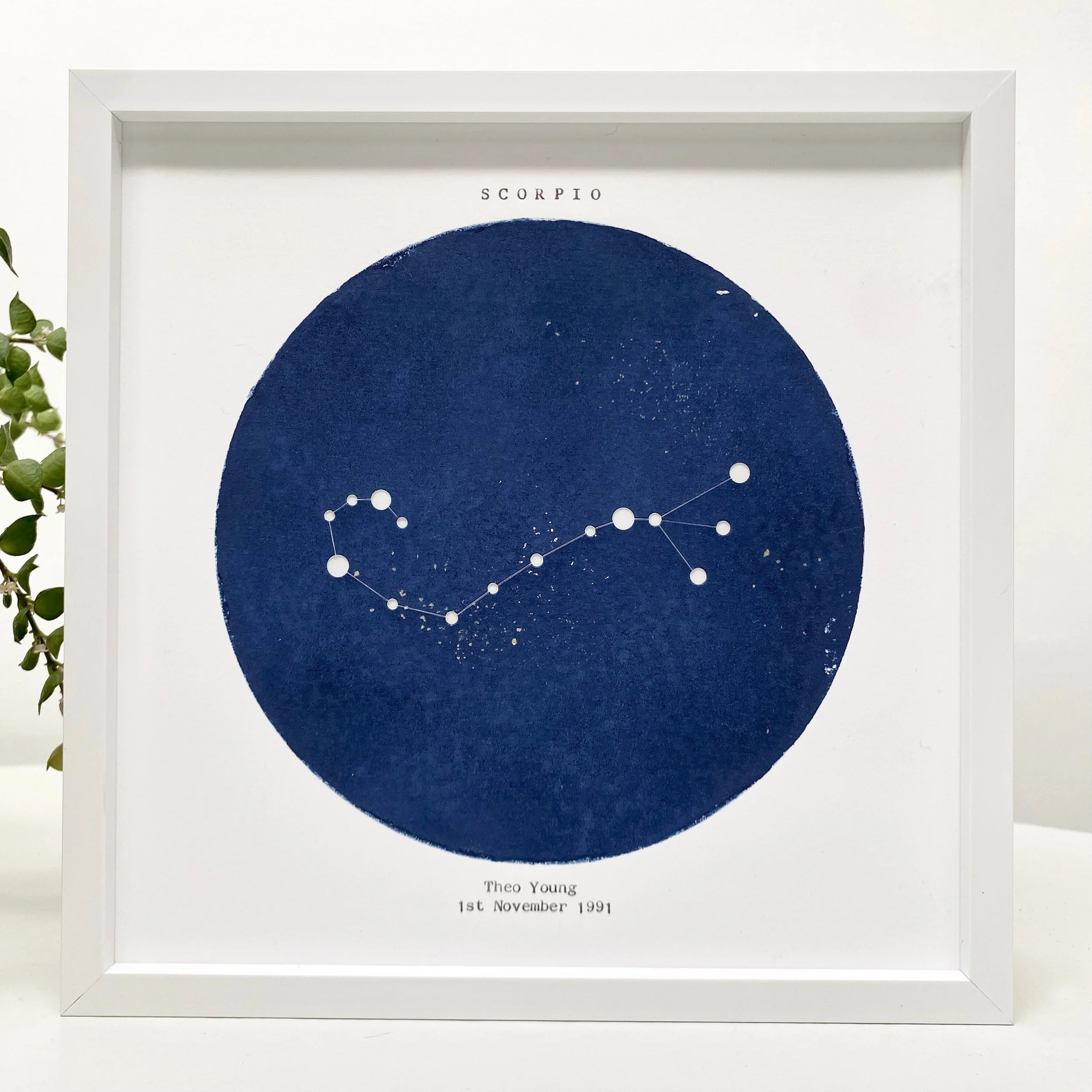 https://i.etsystatic.com/12085019/r/il/6e28c7/3421379879/il_fullxfull.3421379879_cdu6.jpg
