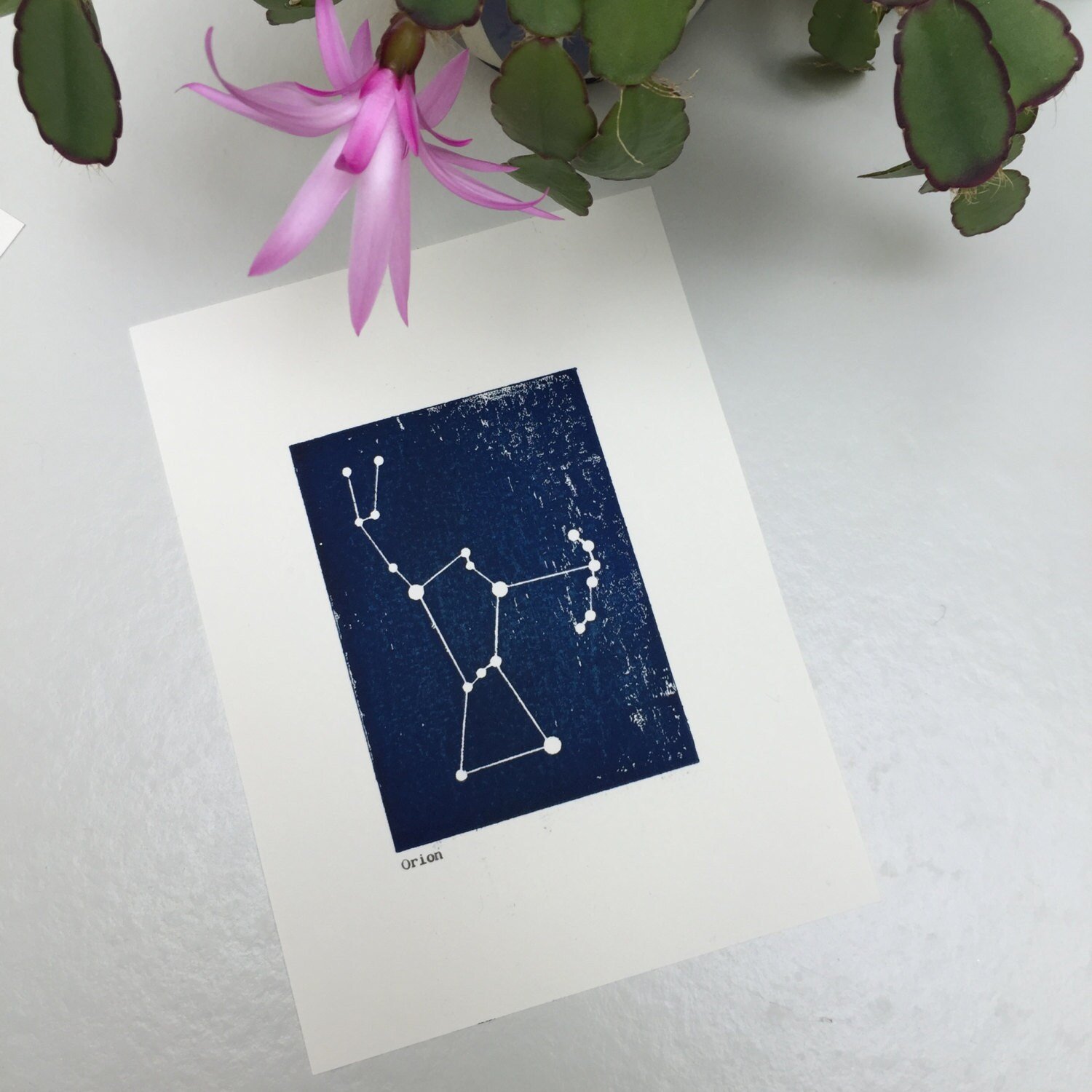 https://i.etsystatic.com/12085019/r/il/285f91/1000344271/il_fullxfull.1000344271_ghto.jpg