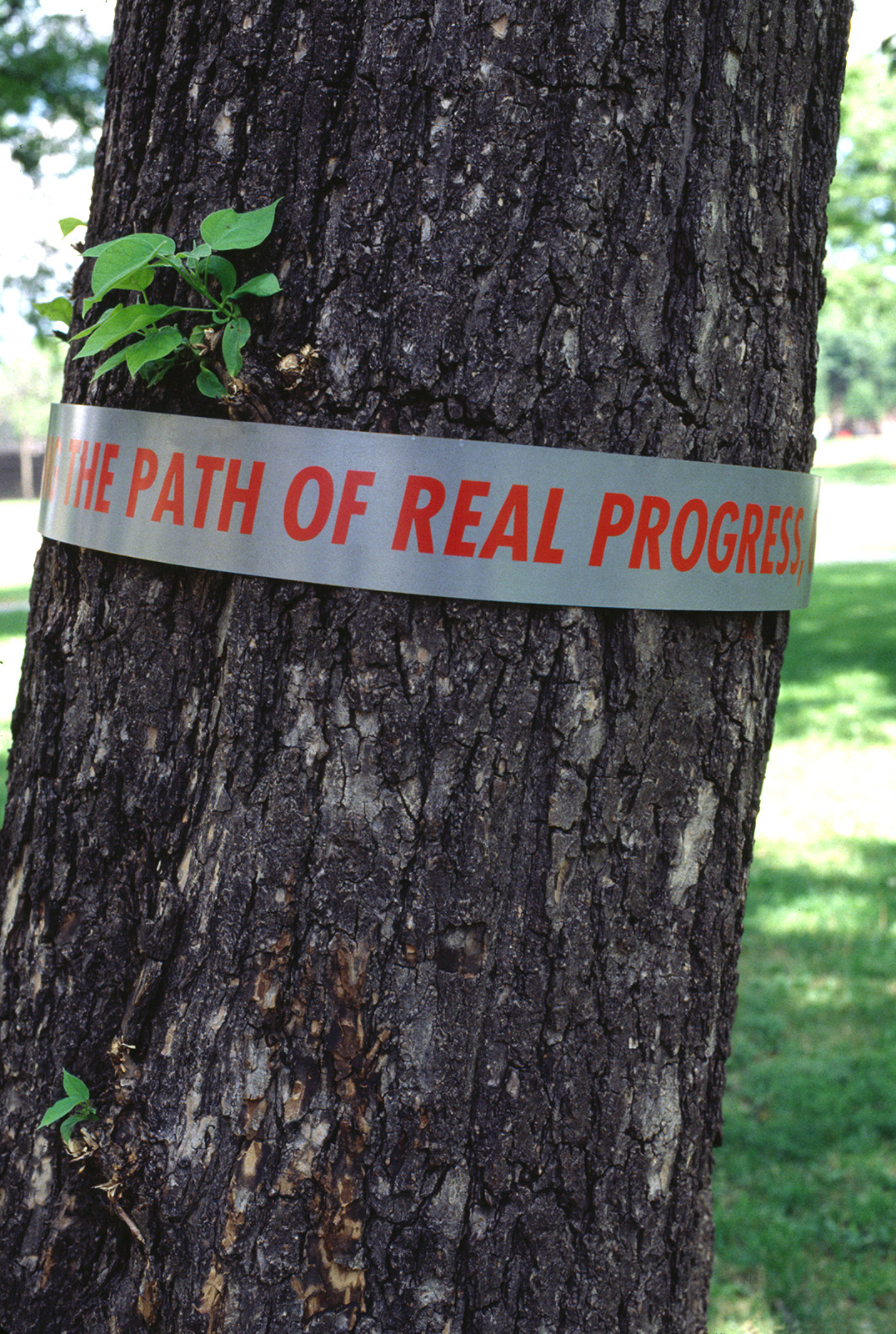  “The Path of Real Progress,” tree band, An American Garden 1995-1996 