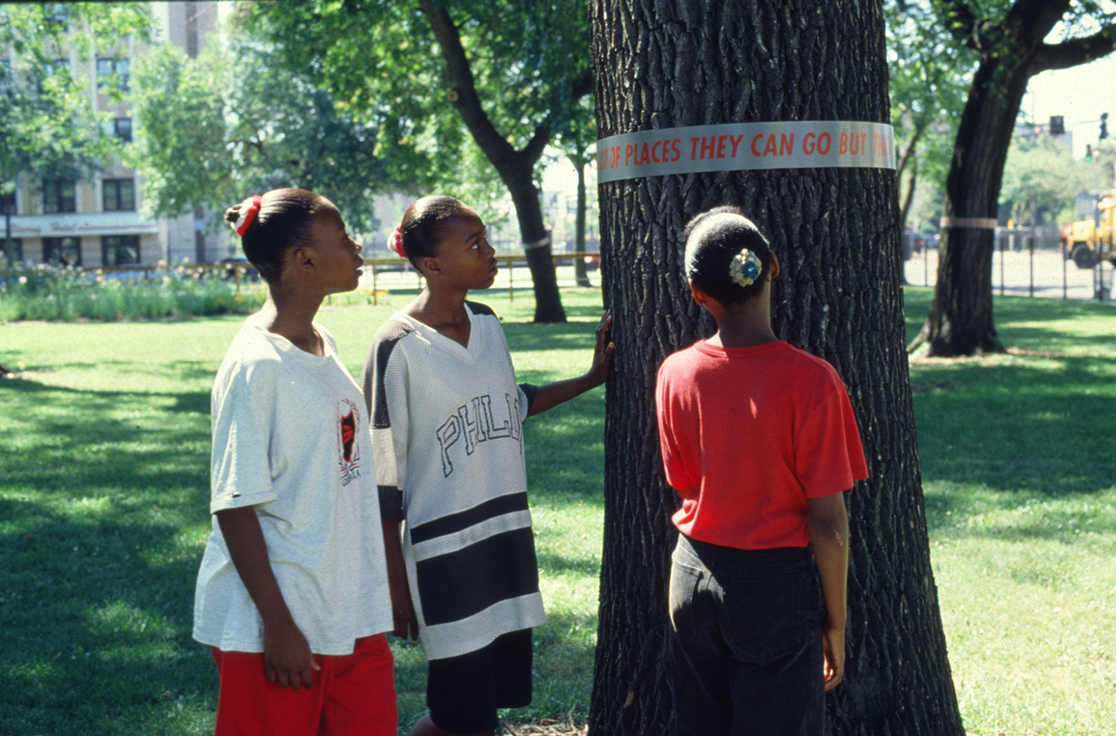 An American Garden: tree bands details 1995-1996