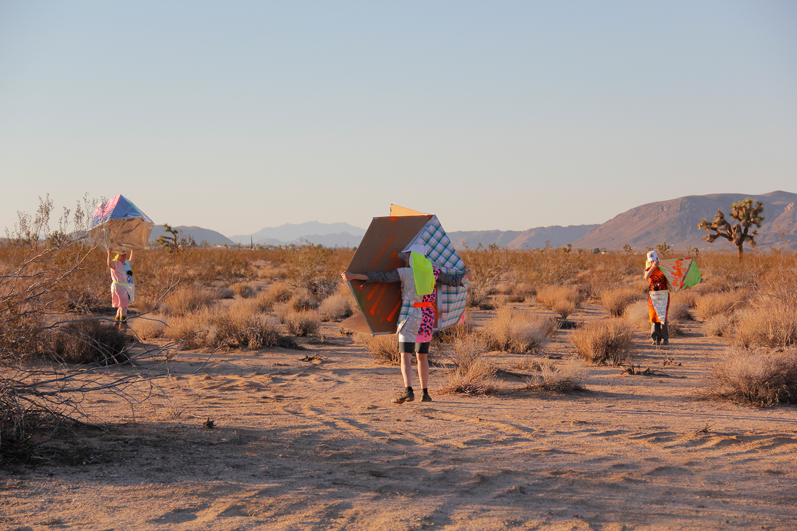  CARPA Symposium at Joshua Tree, California, 2013, Prototypes First Deployment 