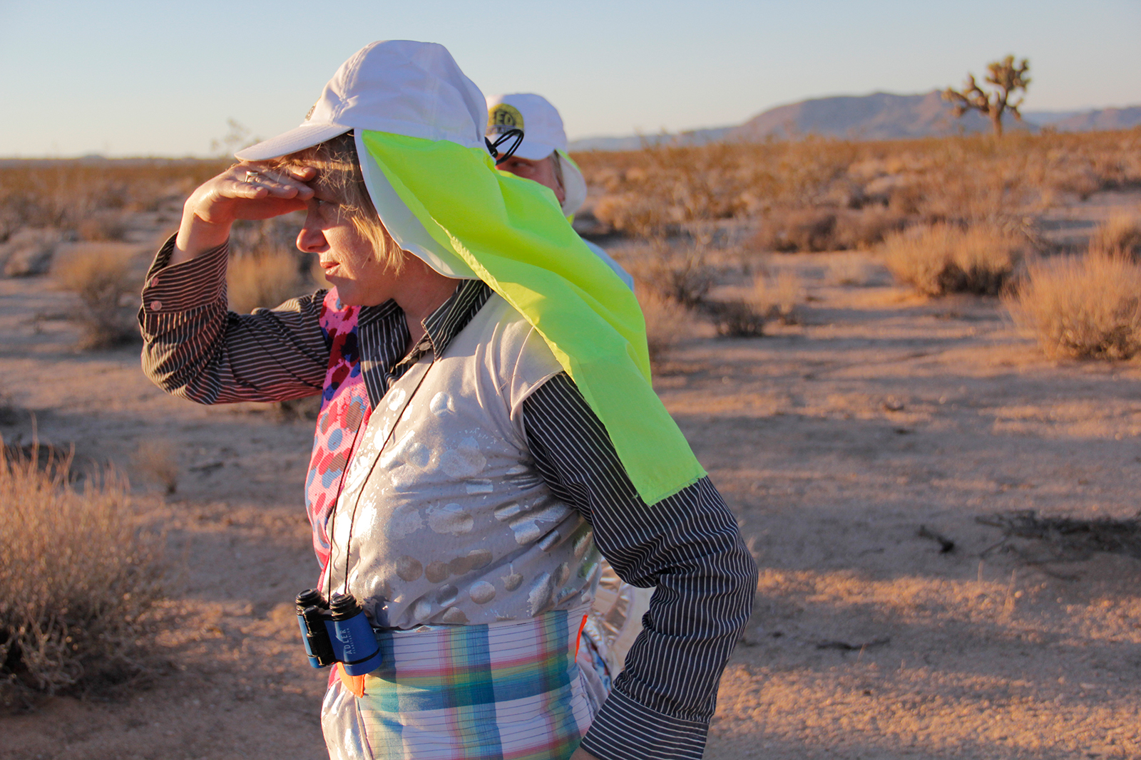  CARPA Symposium at Joshua Tree, California, 2013, Field Surveillance, Second Deployment 