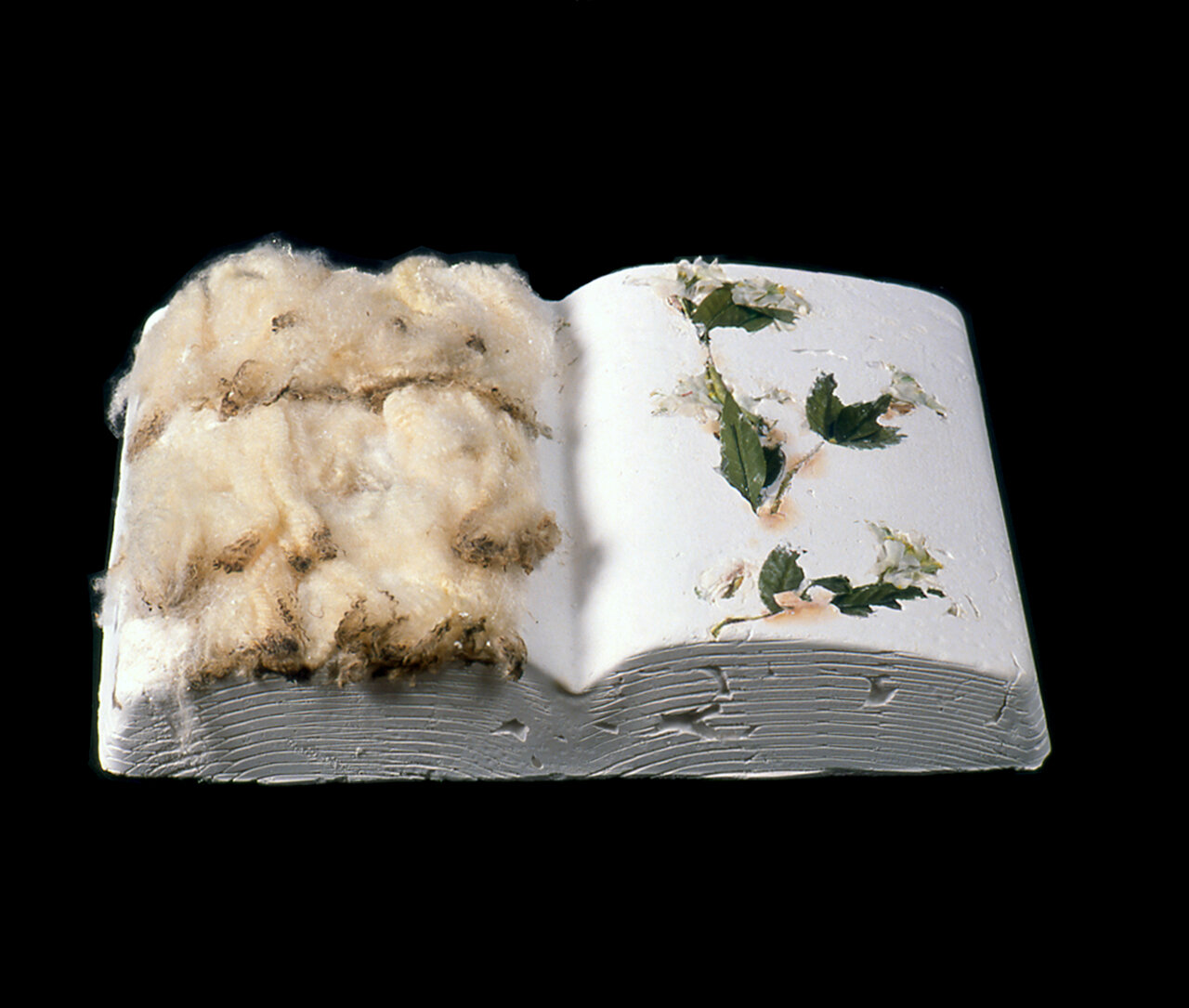 For the Instruction of Young Ladies : book detail 1989. Photo: B.T. Martin