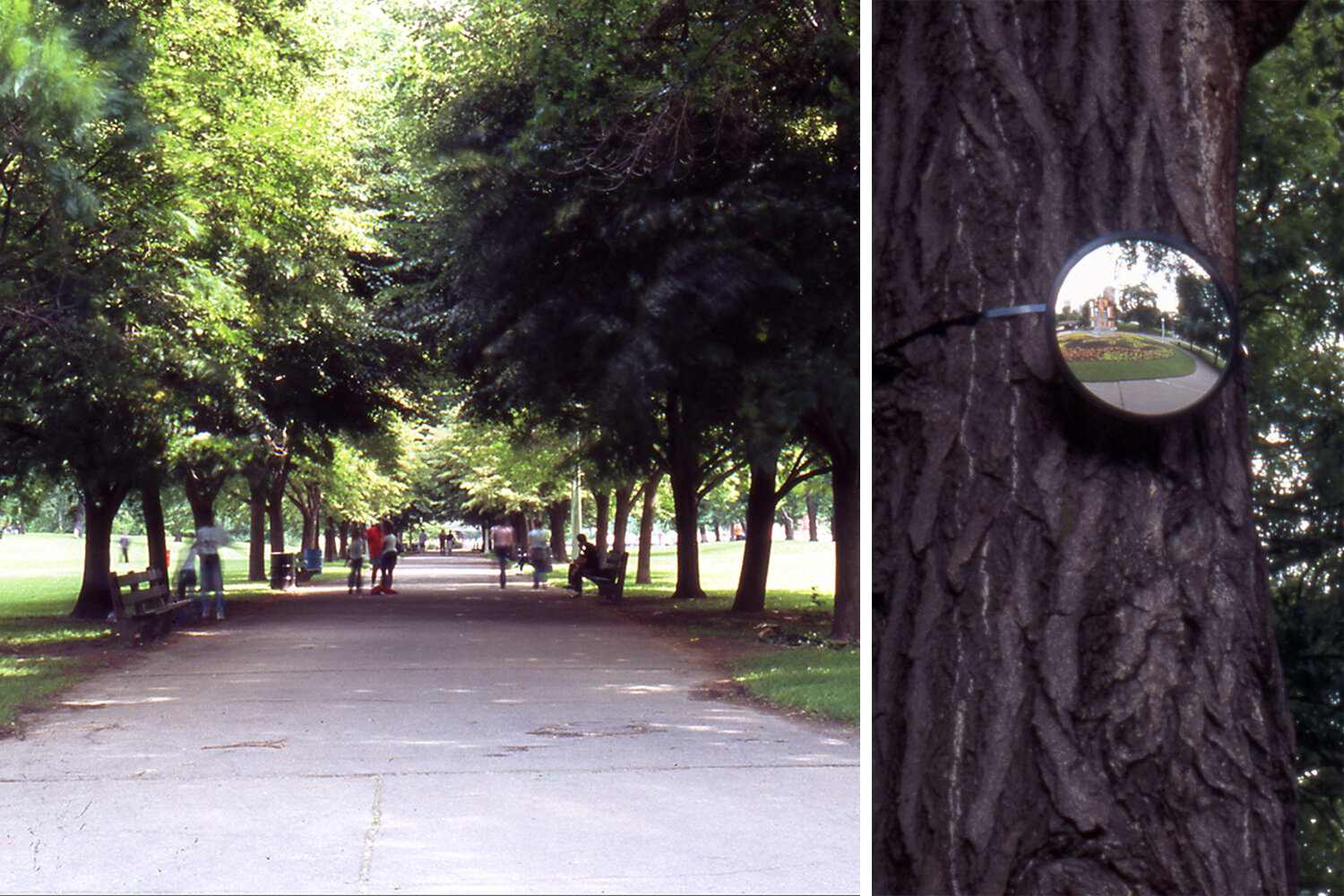   Invisible Garden , installation view, Lincoln Park, Chicago, 2004. Photo: Leslie. Schwartz 