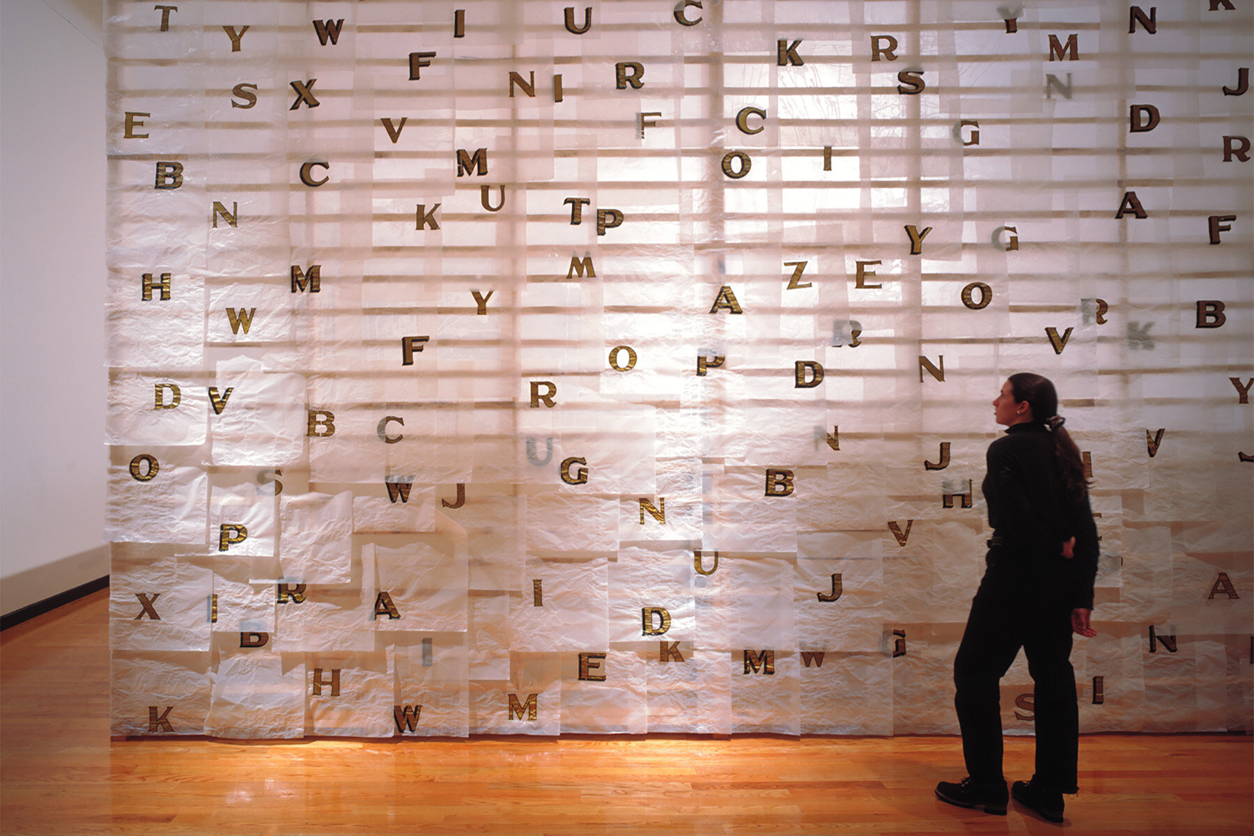   Anne Frank Project: Conditions for Growth , installation details, Tufts University Art Gallery, 1994. Photo: B. T. Martin 