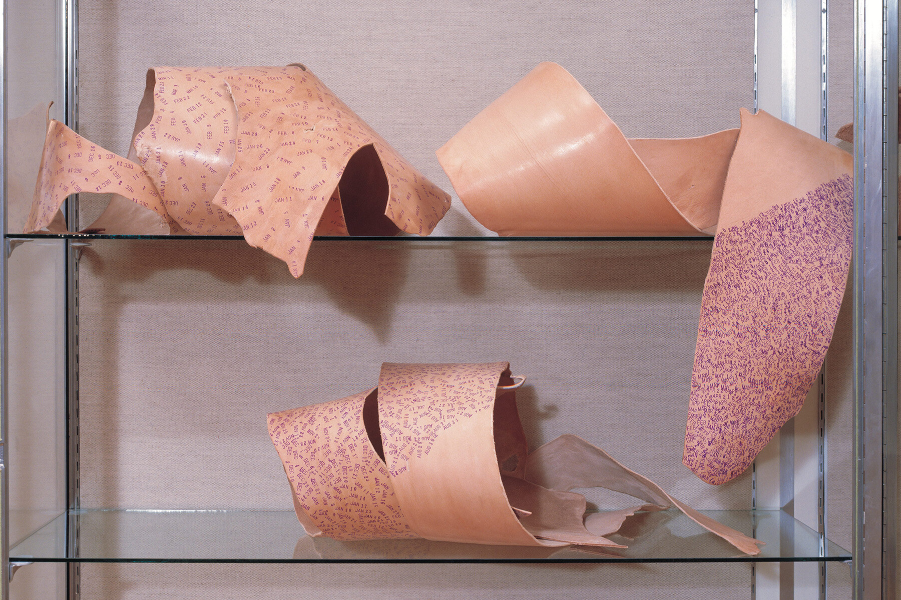   Anne Frank Project: Conditions for Growth , installation details, Tufts University Art Gallery, 1994. Photo: B. T. Martin 