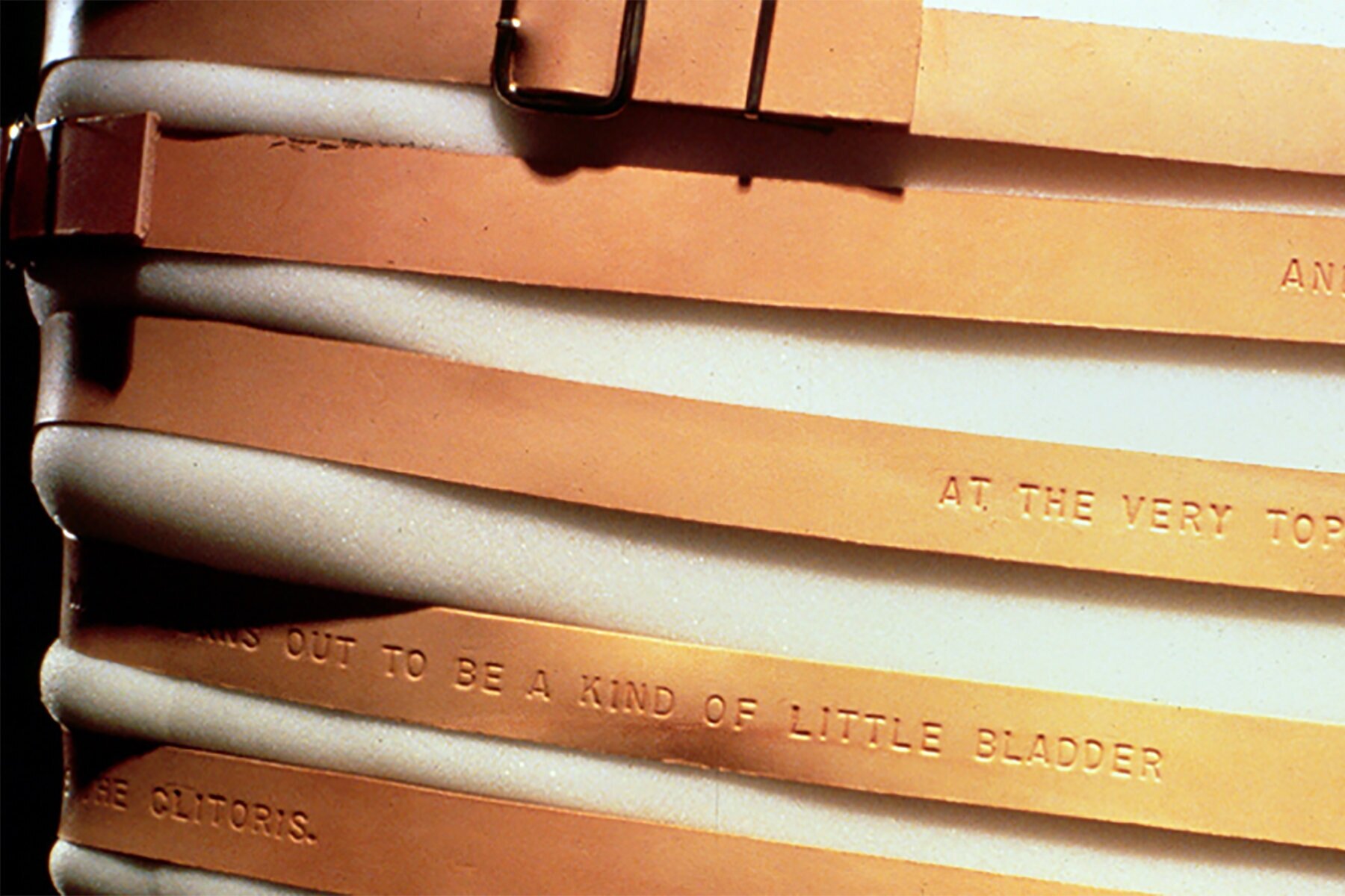  Anne Frank Project: A Probability...: detail Das Wesentliche, Bunting Institute, Radcliffe, College 1993. Photo: B. T. Martin 