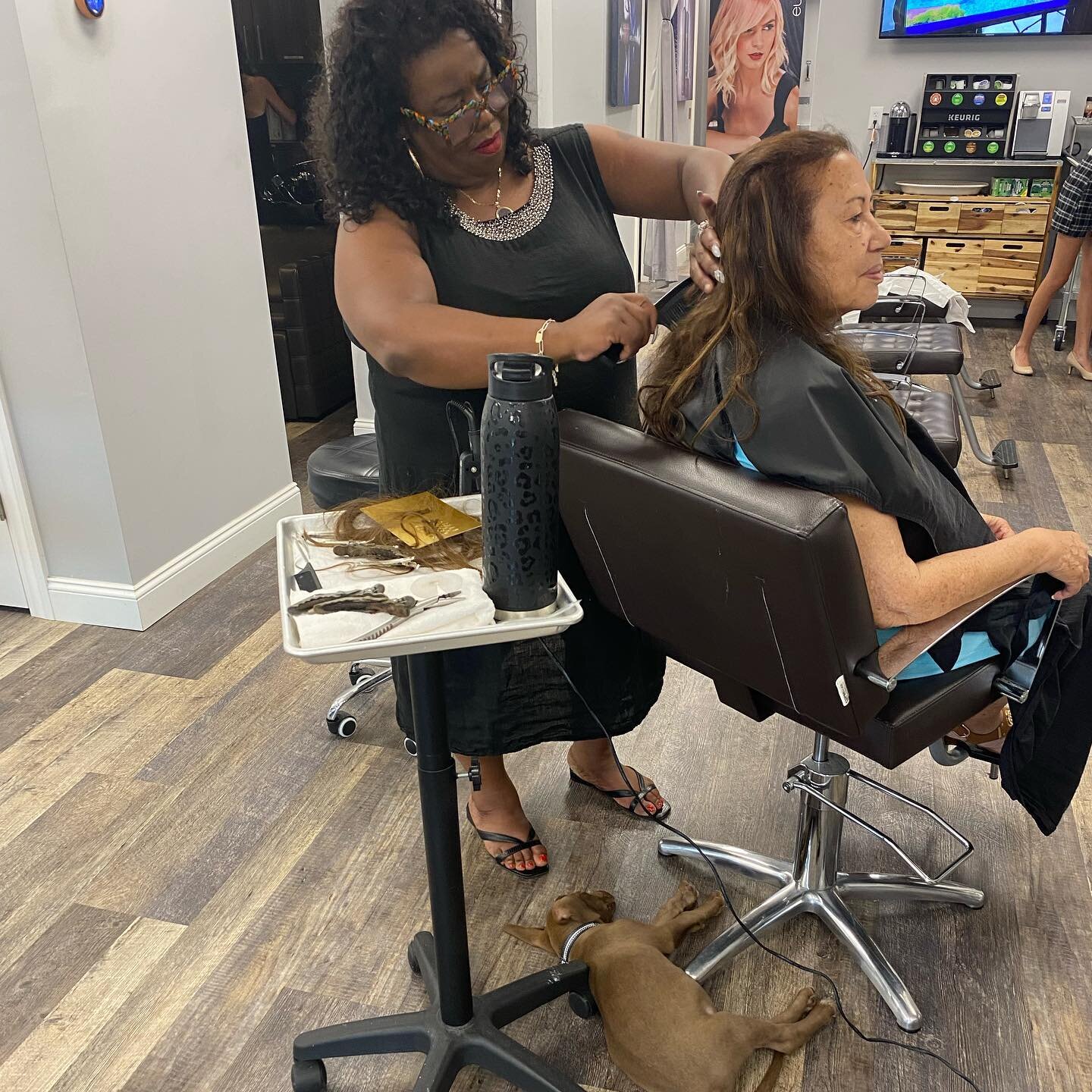 A good leader steps in and works with the crew. A good doggy sits by her feet 🐾👠🪜
-
-
-
#kjs444 #katherinejonsalon #top200salon #euforasalon #euforaeducator #femalebusinessowner #leader #katrocksmyworld