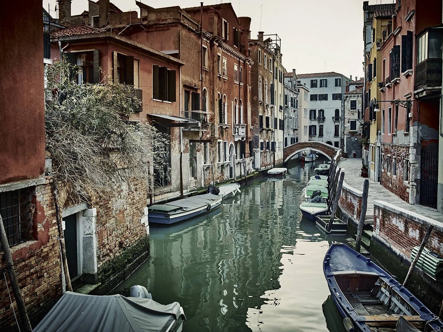 Isaac-venice_64717.jpg