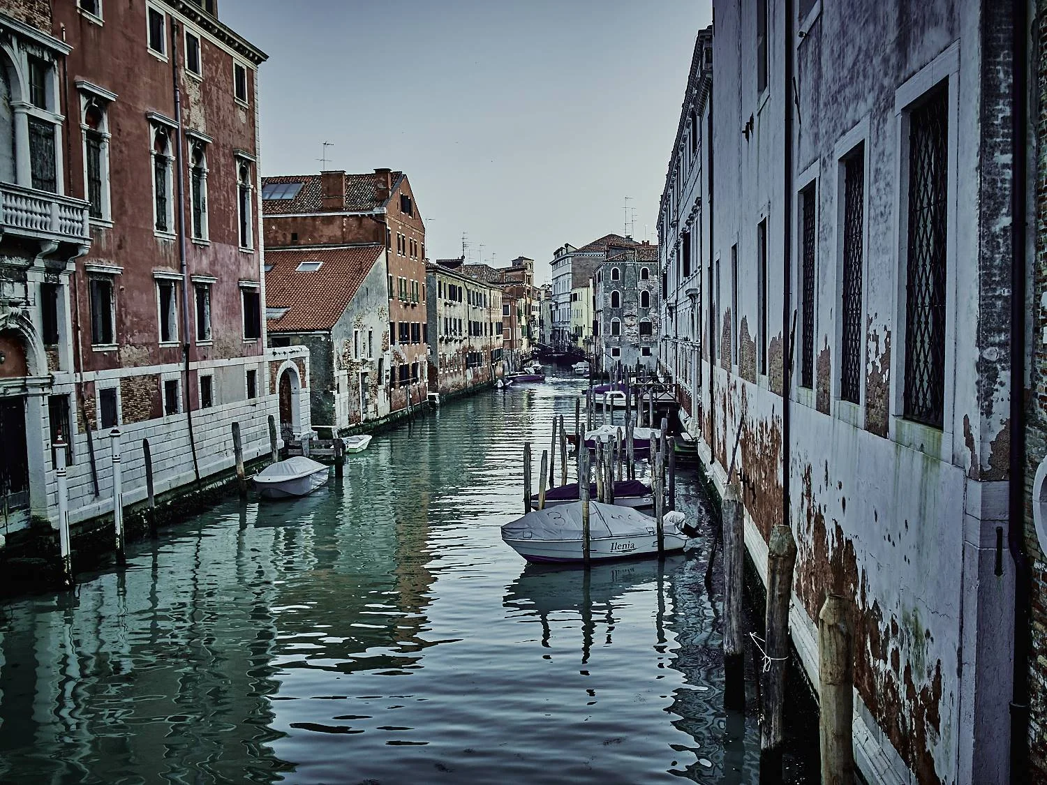 Isaac-venice_64729.jpg