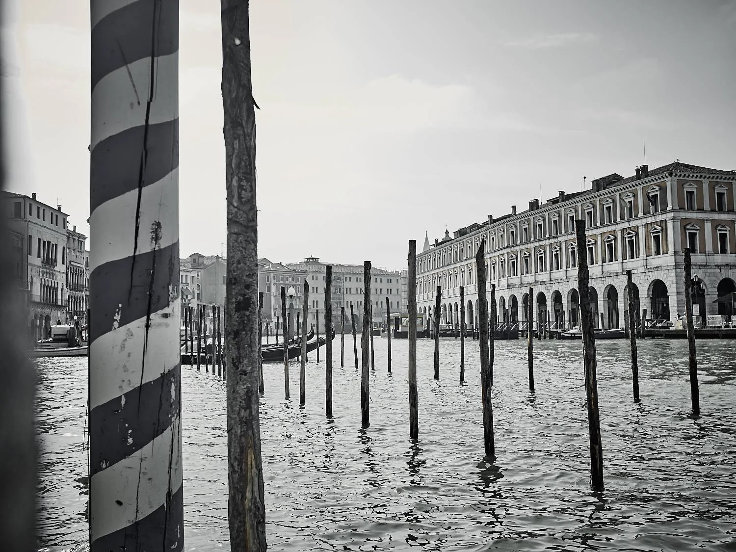 Isaac-venice_64759.jpg