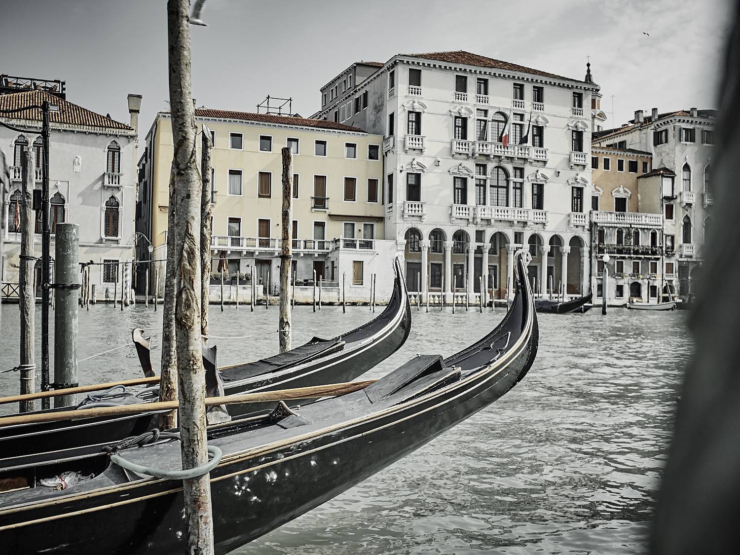 Isaac-venice_64831.jpg