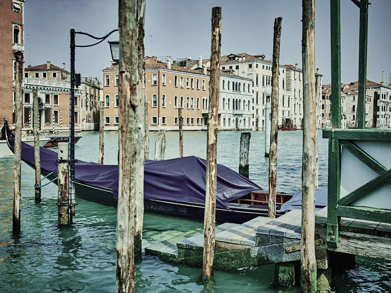 Isaac-venice_64876.jpg