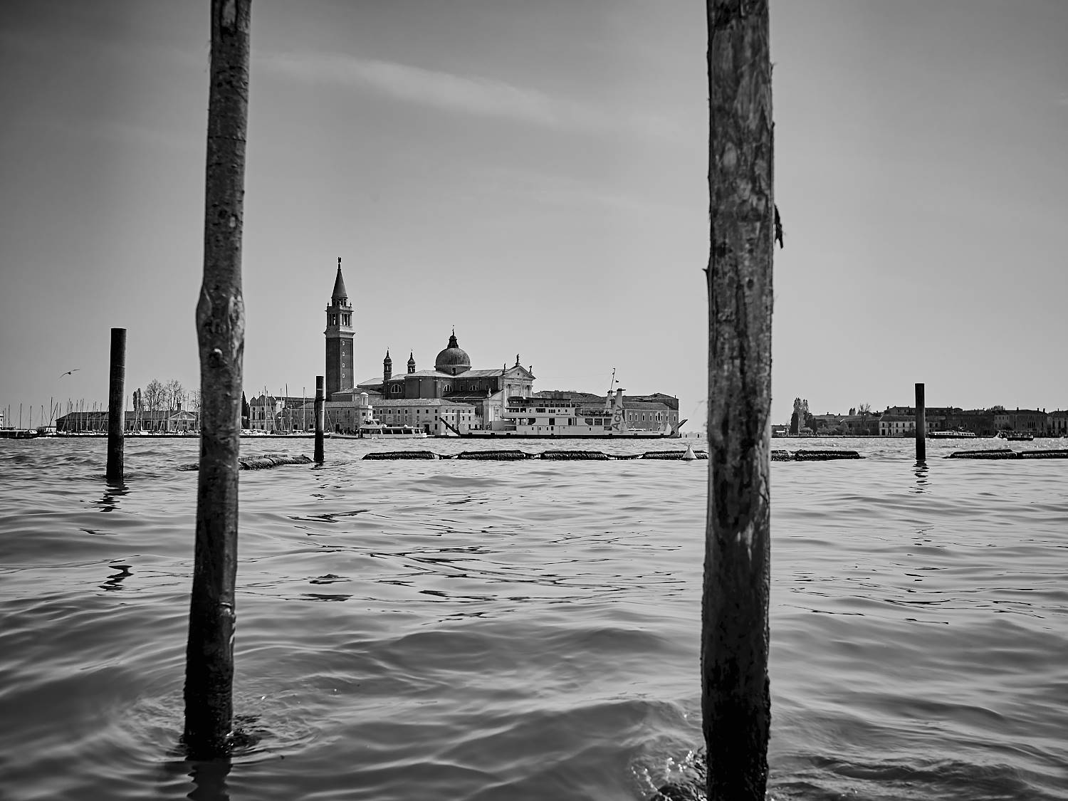 Isaac-venice_64910.jpg