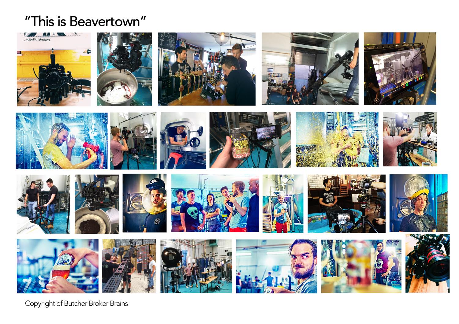 JOB+TEMPLATES-beavertown.jpg