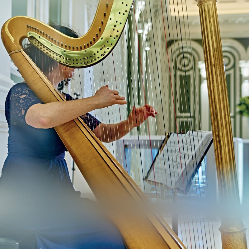 harp-player.jpg