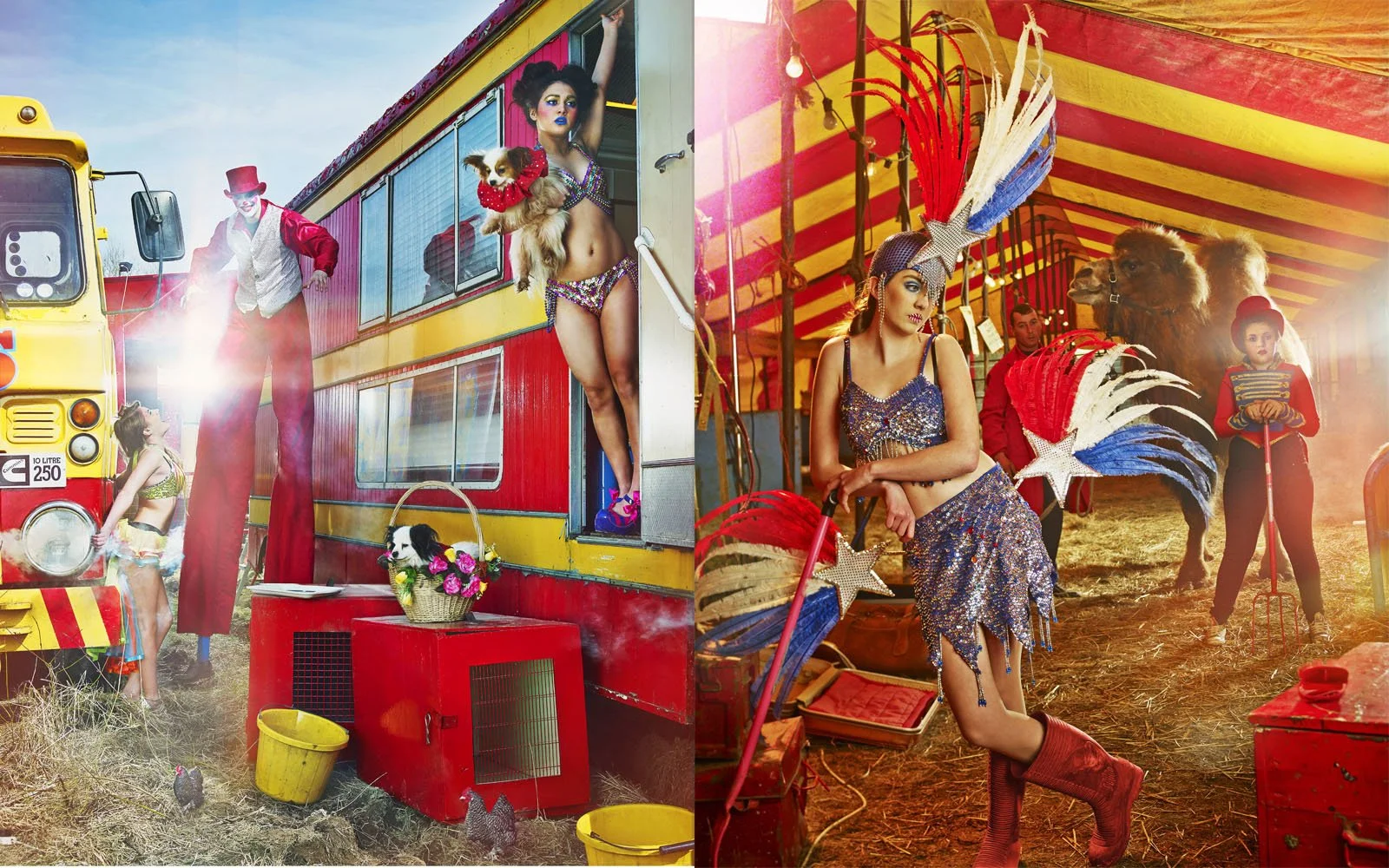 81_jolly-circus.jpg
