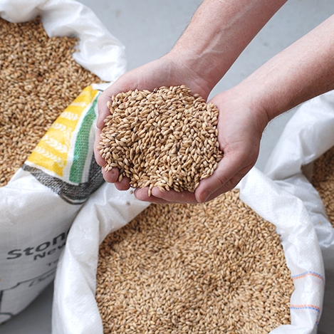Our_malt_hands.jpg