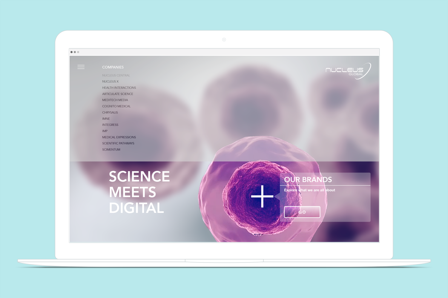 Screen Shot 2017-08-03 at 6.45.34 PM.png