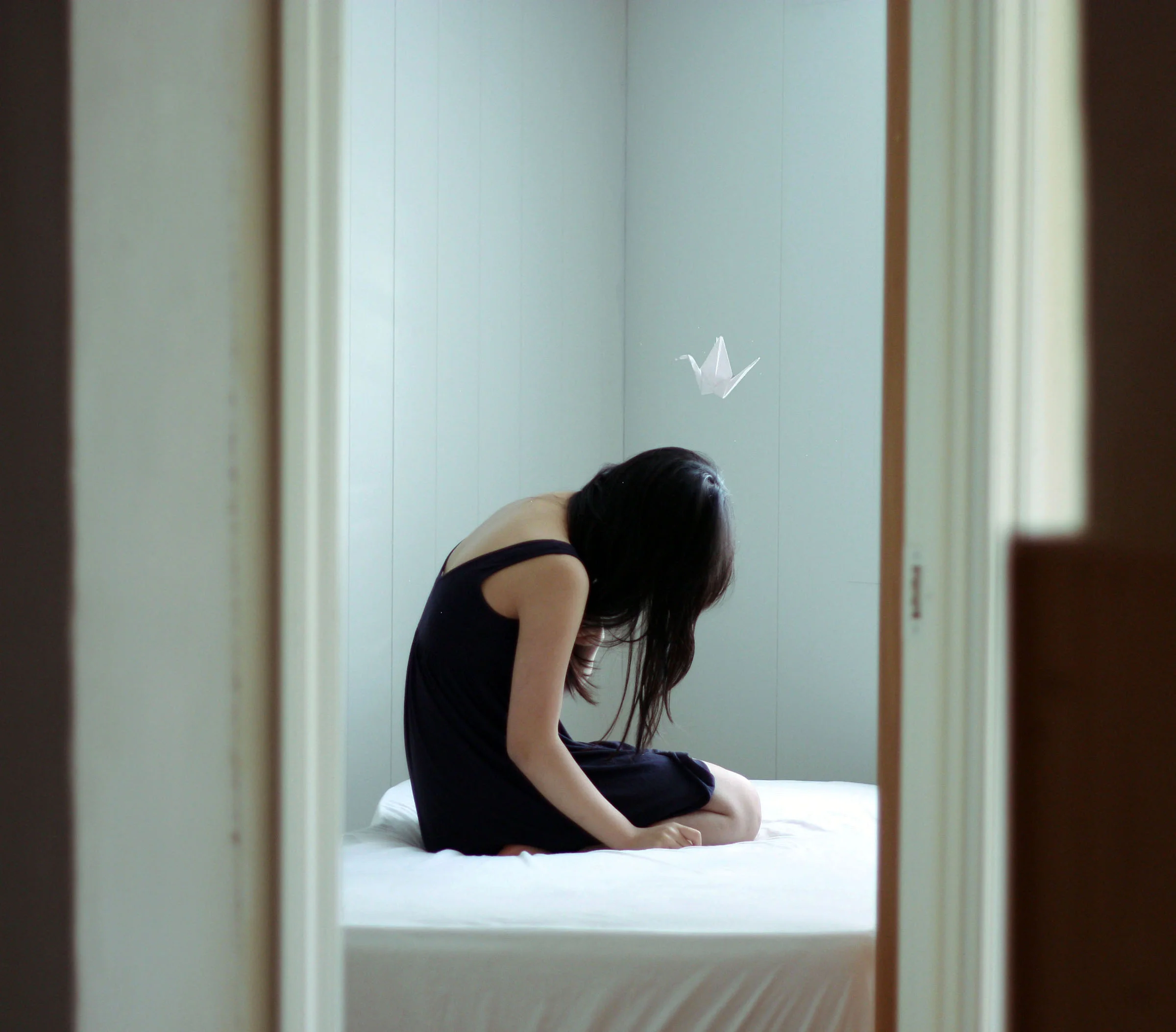photo by Xin Li
