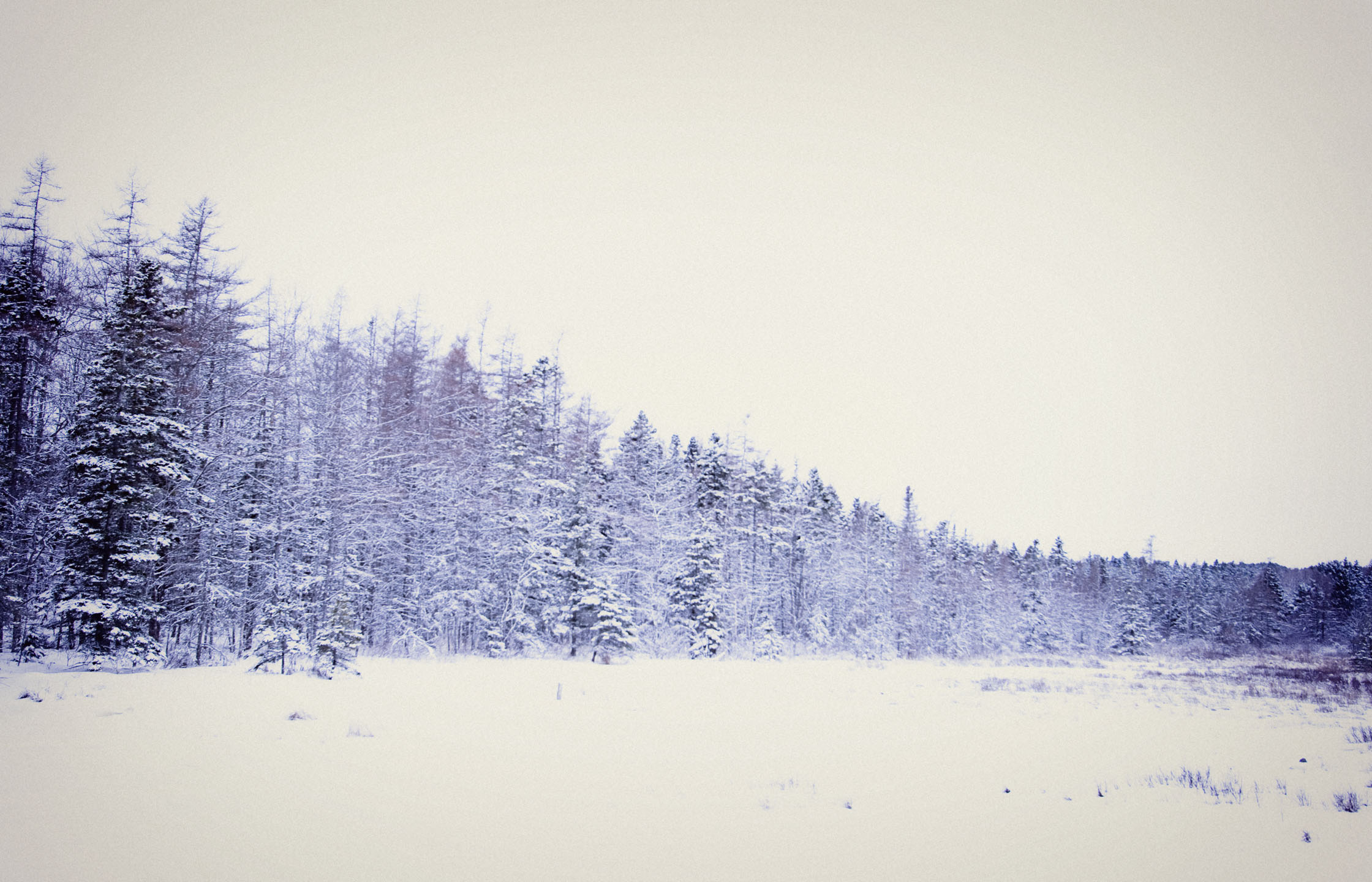 photo by Kate Inglis