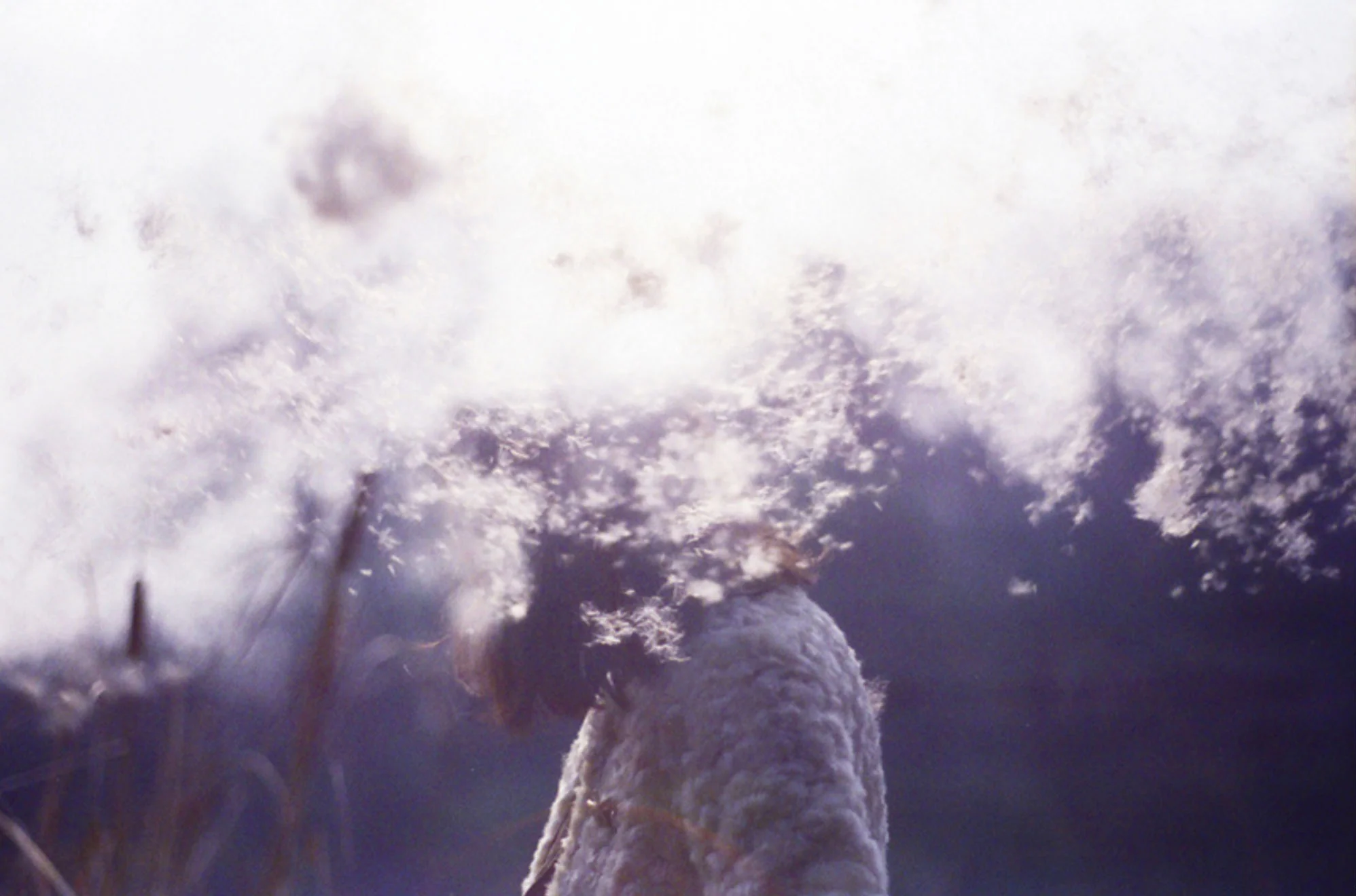 photo by Li Hui